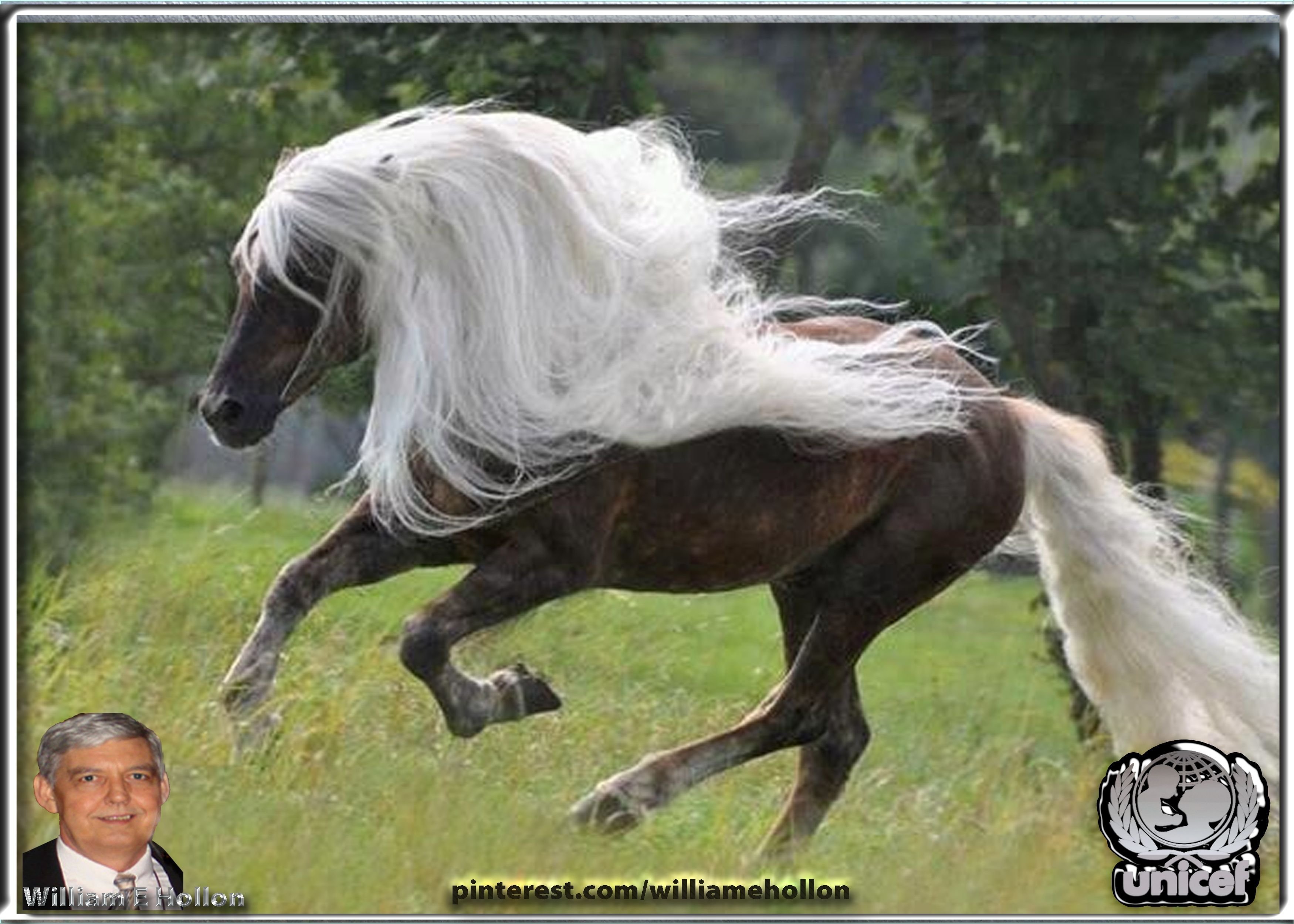 Конь с черной гривой. Серебристо Вороная лошадь. Серебристо-Вороная лошадь скалистых гор. Фризская лошадь с белой гривой. Игреневая масть.