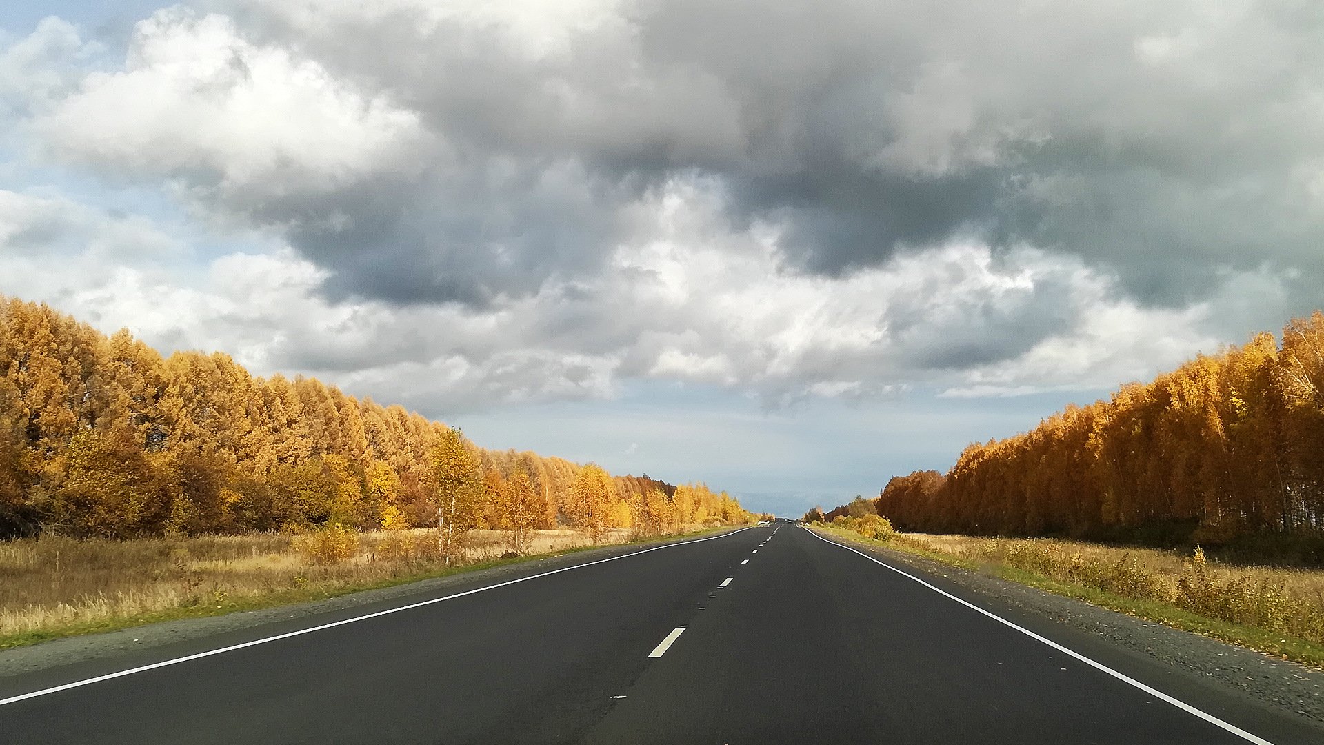 Осенняя дорога домой. Осенняя дорога. Осень трасса. Дорога трасса. Красивые дороги Подмосковья.