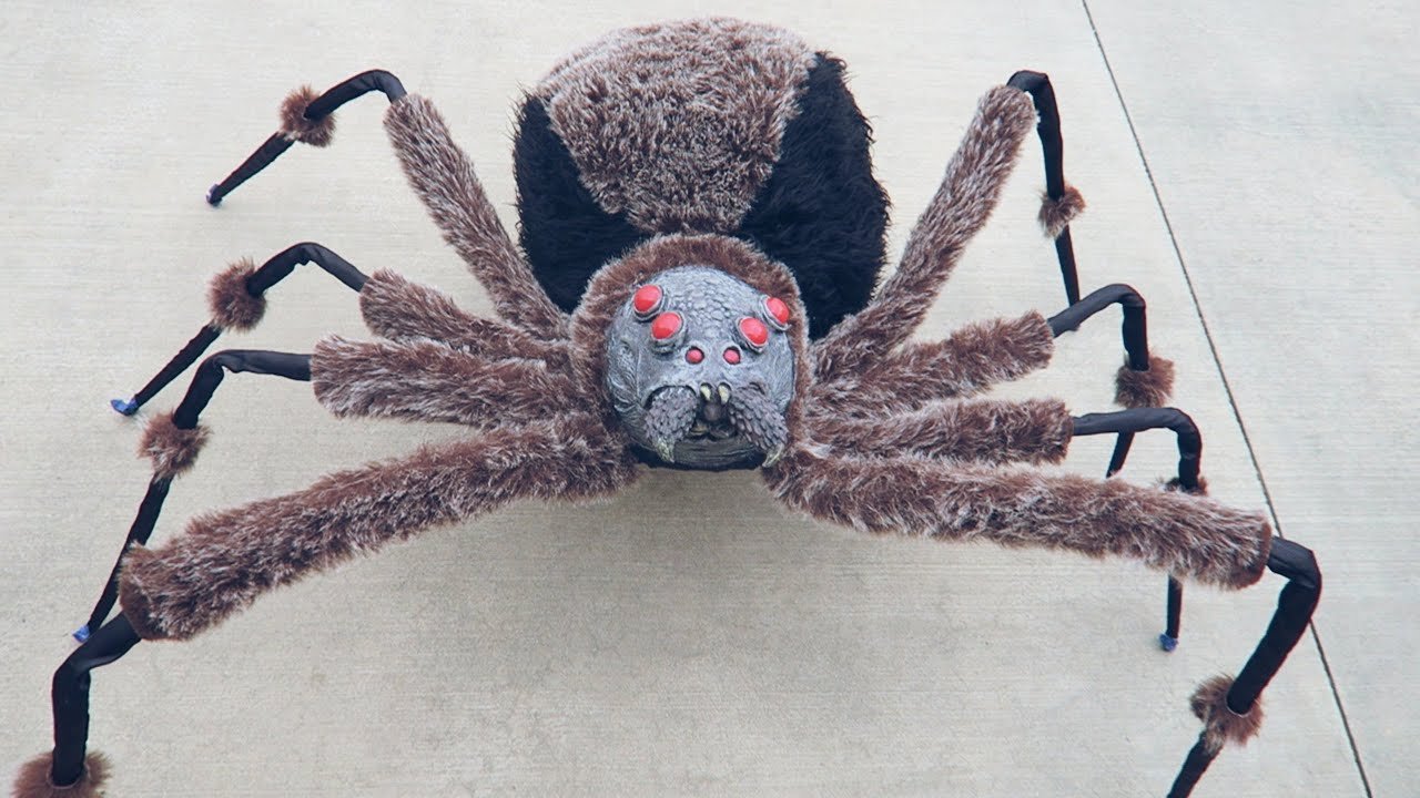 Гигантские пауки убийцы