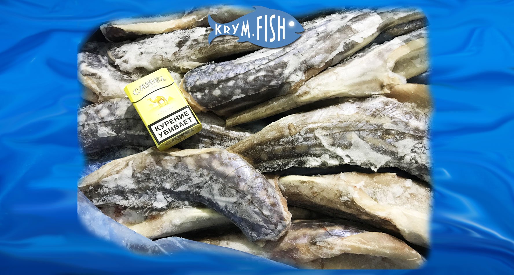Морской заяц фото рыба