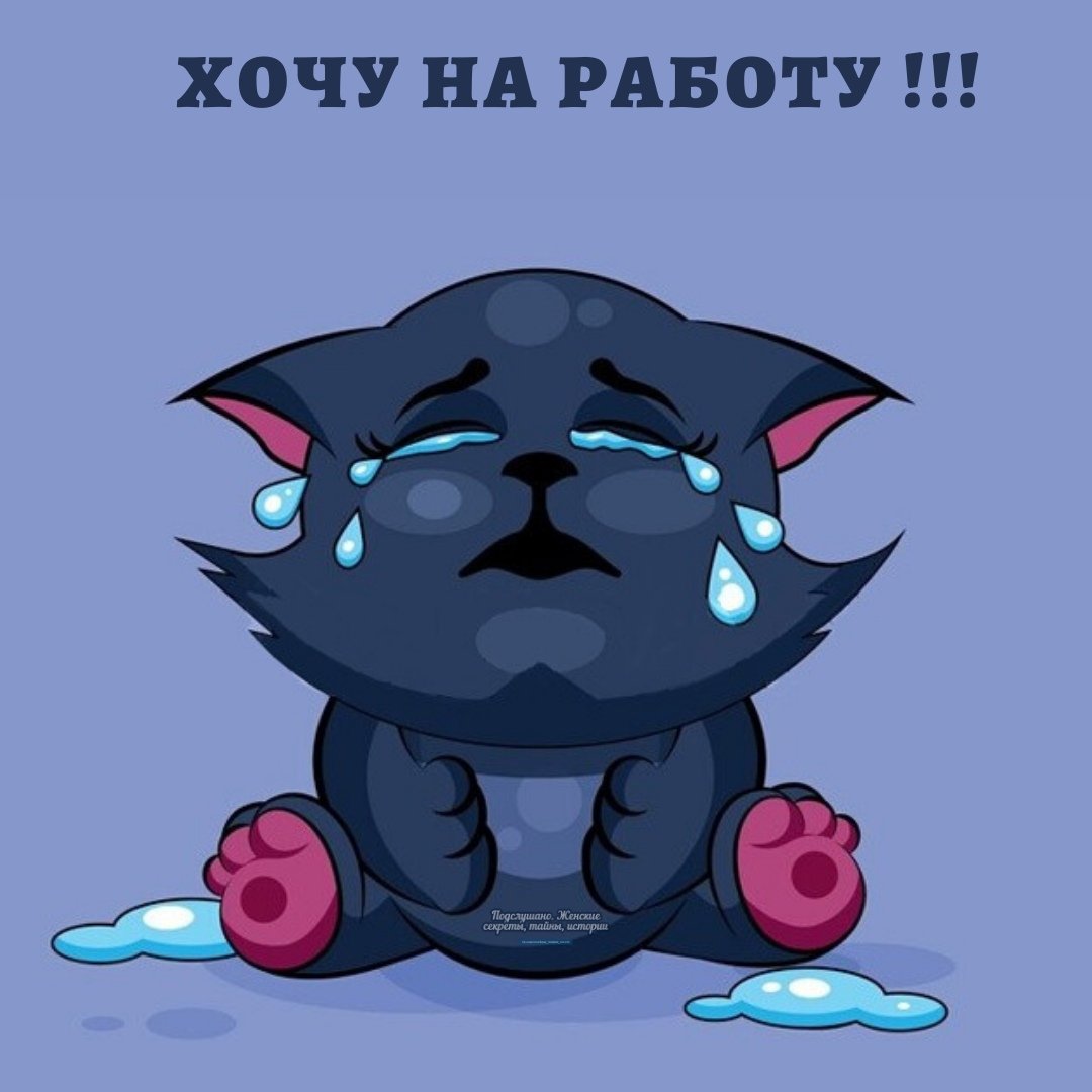 Кошка плачет