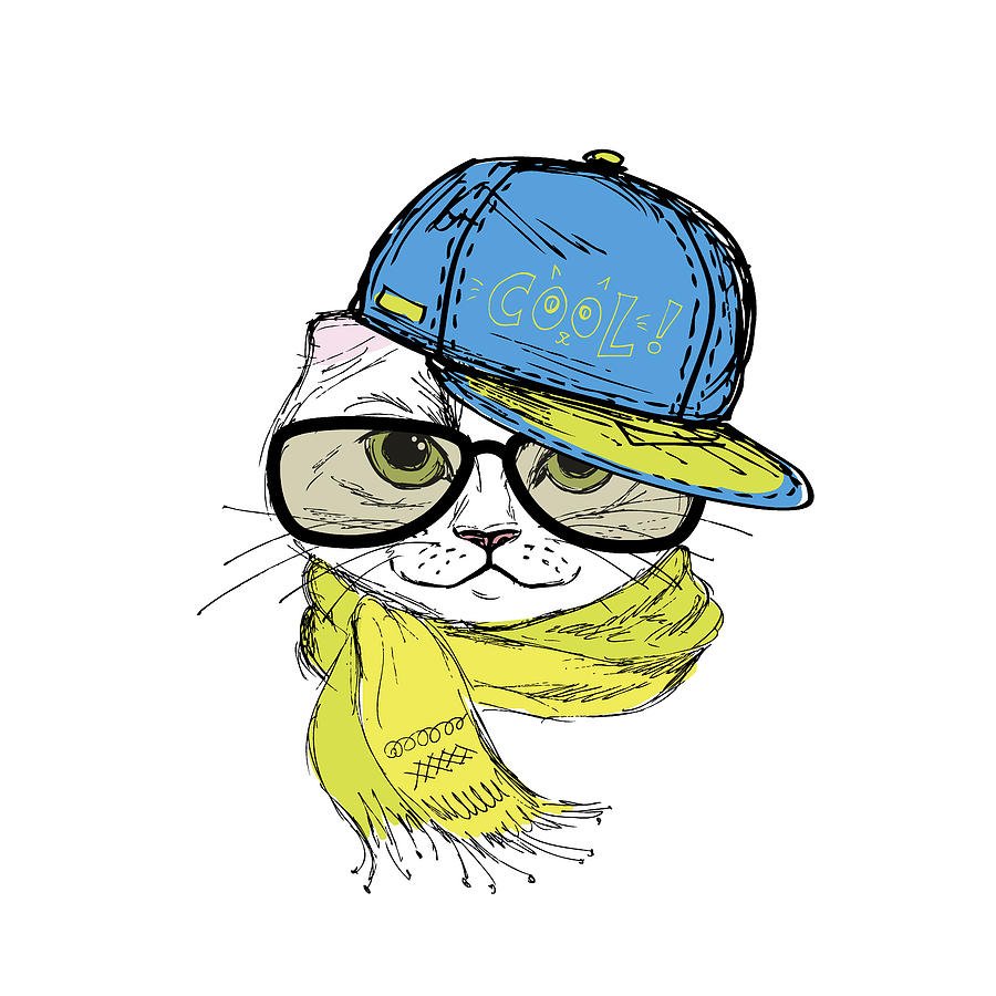 Кот в очках и шапке