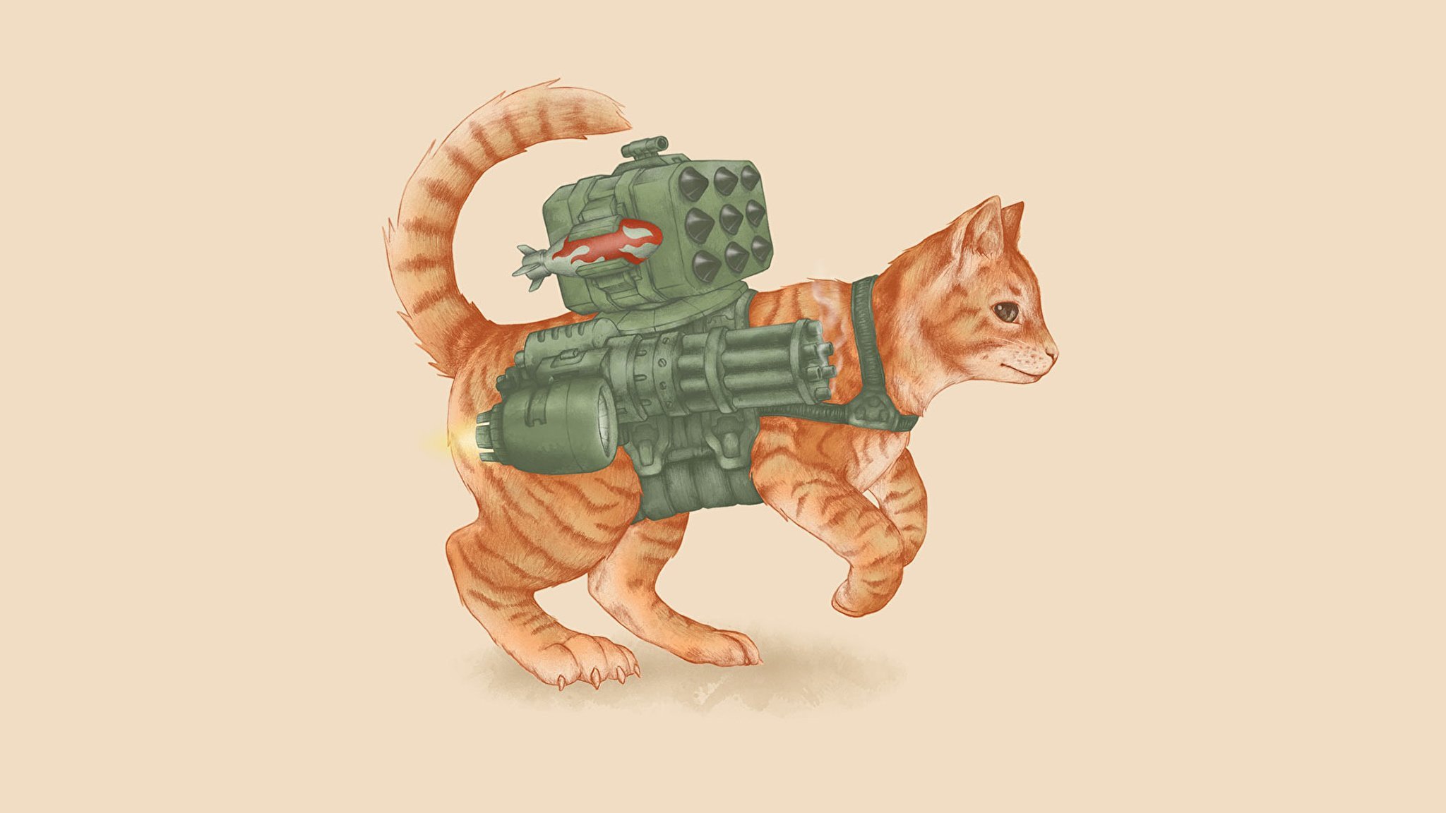Боевой рыжий кот