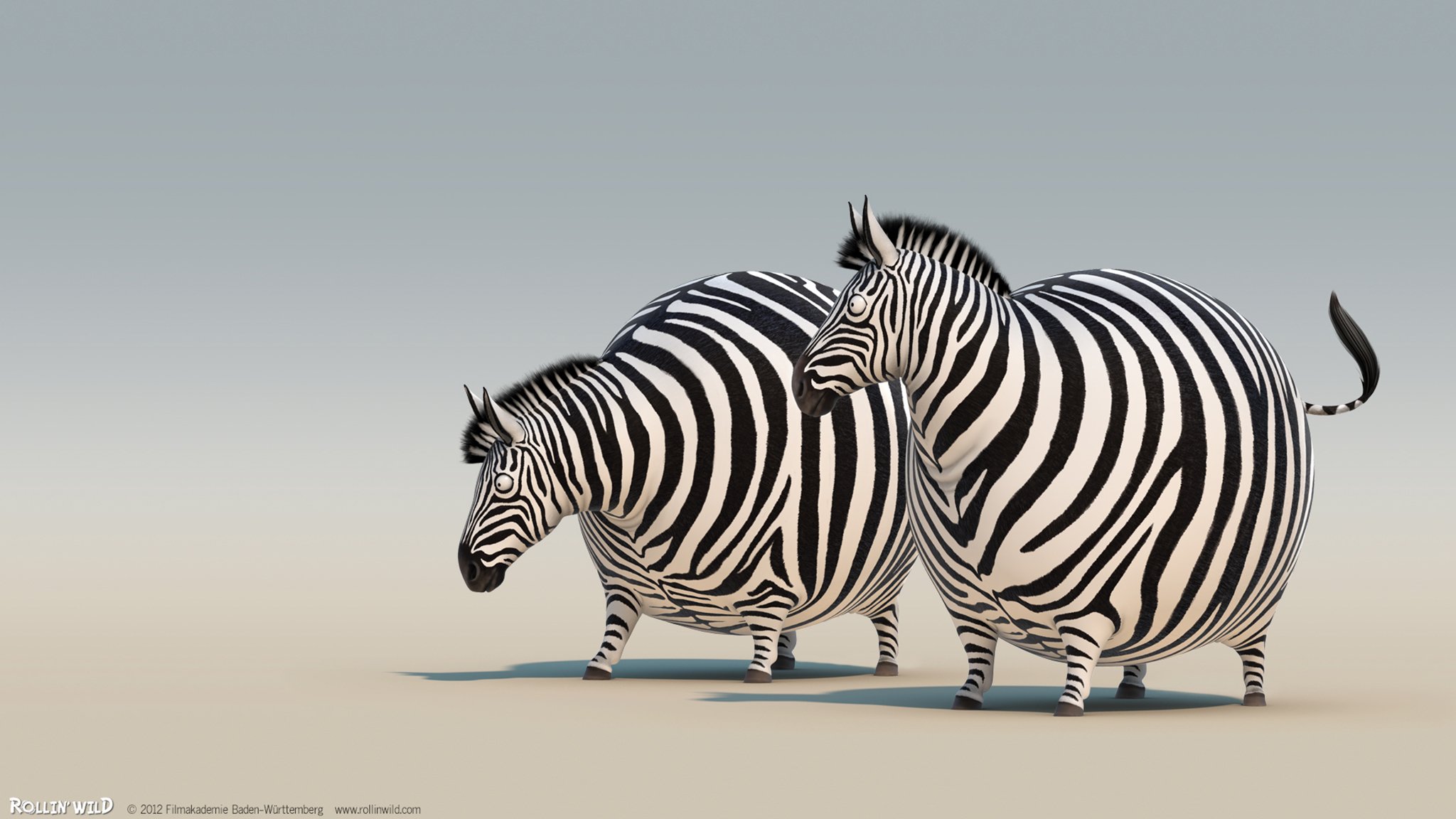 Толстая жизнь животных. Круглое сафари - Rollin-Safari. Зебра. Забавная Зебра. Толстая Зебра.