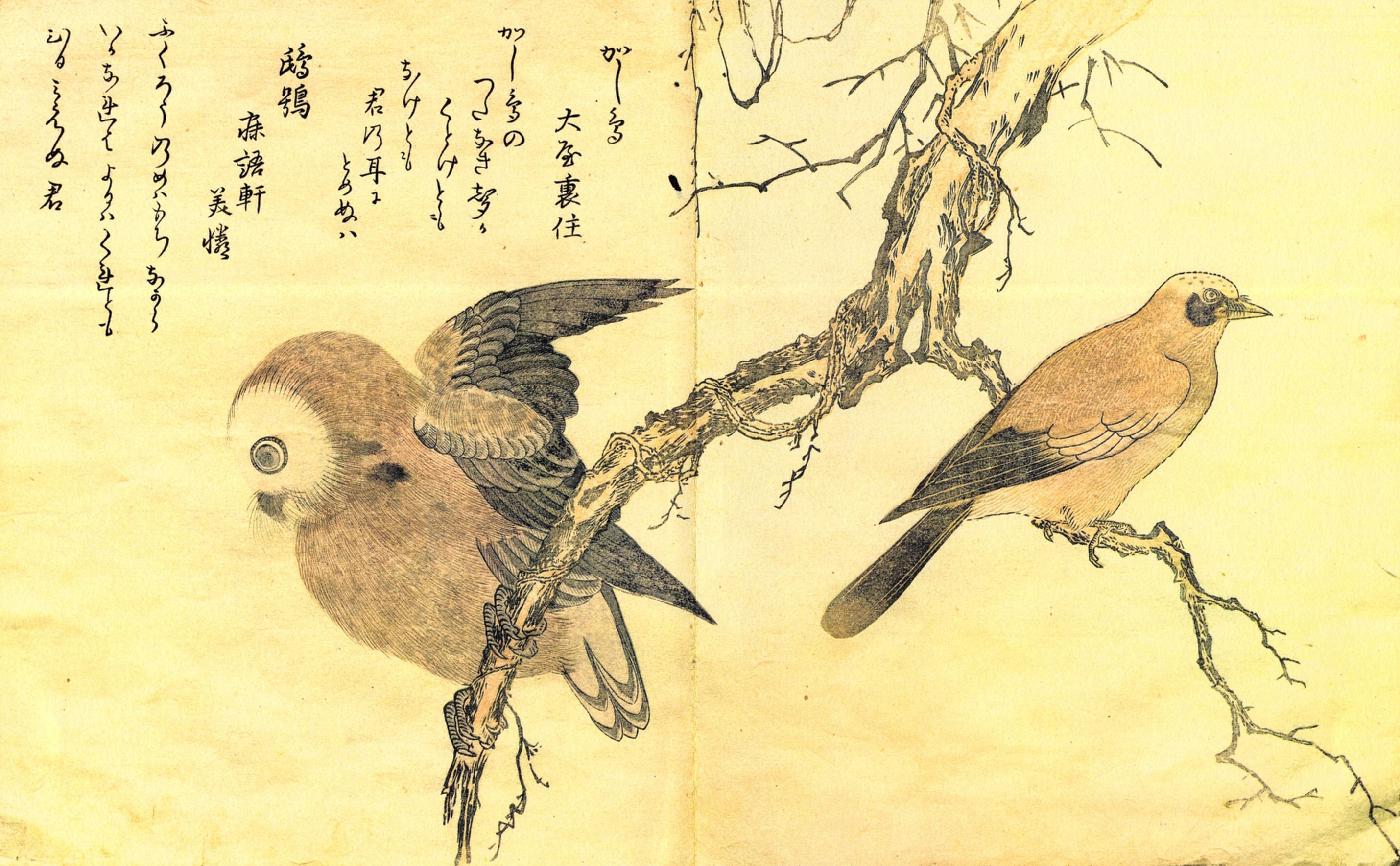 Китагава Утамаро птицы