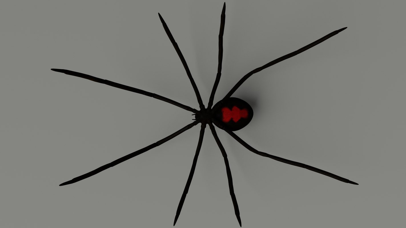 Лицо черной вдовы паука