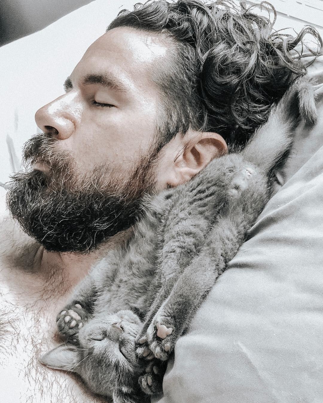 Мужчина любящие кошек