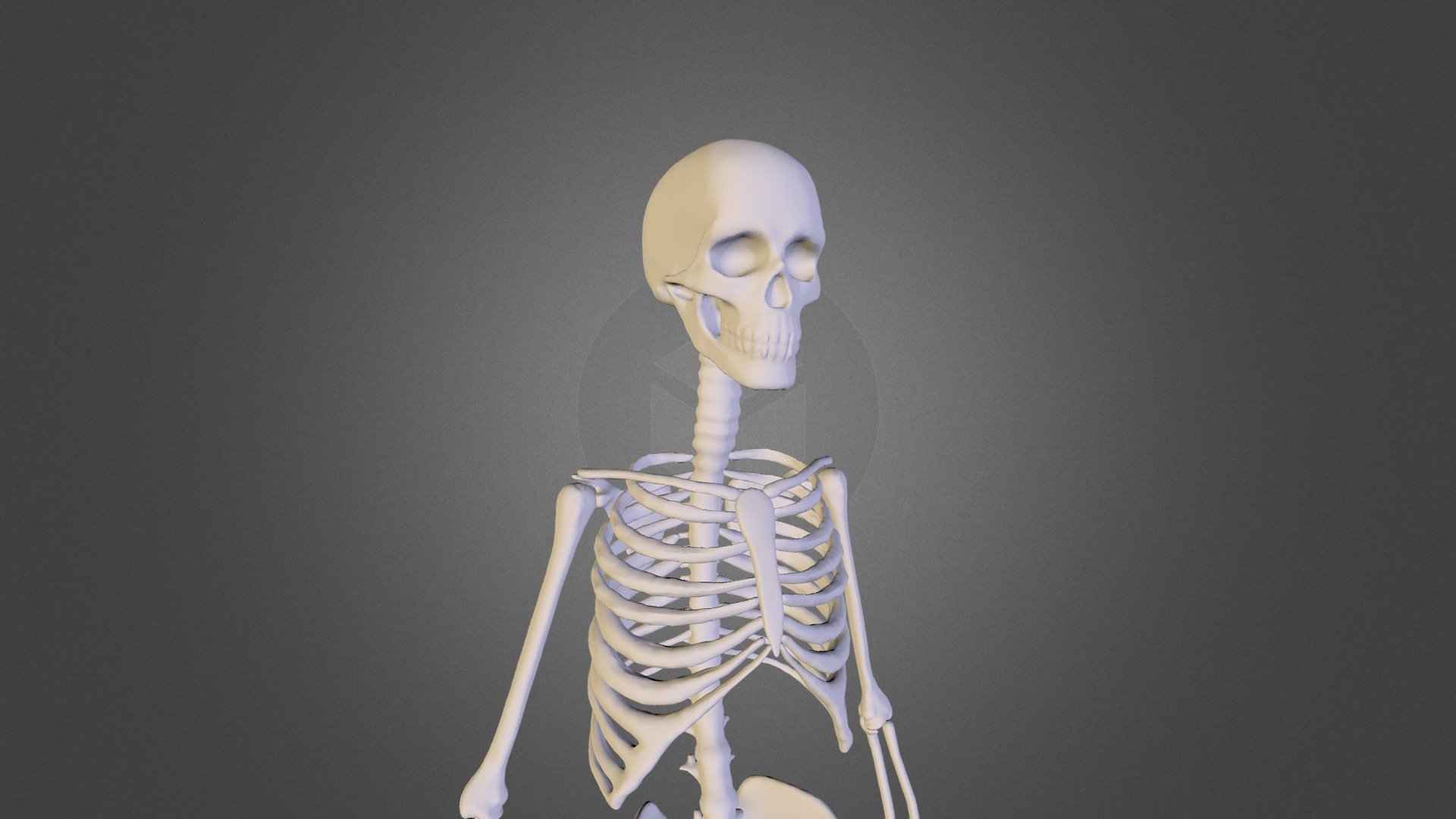Люди скелеты живые. Скелет человека. Обои скелет. Скелет на рабочий стол.