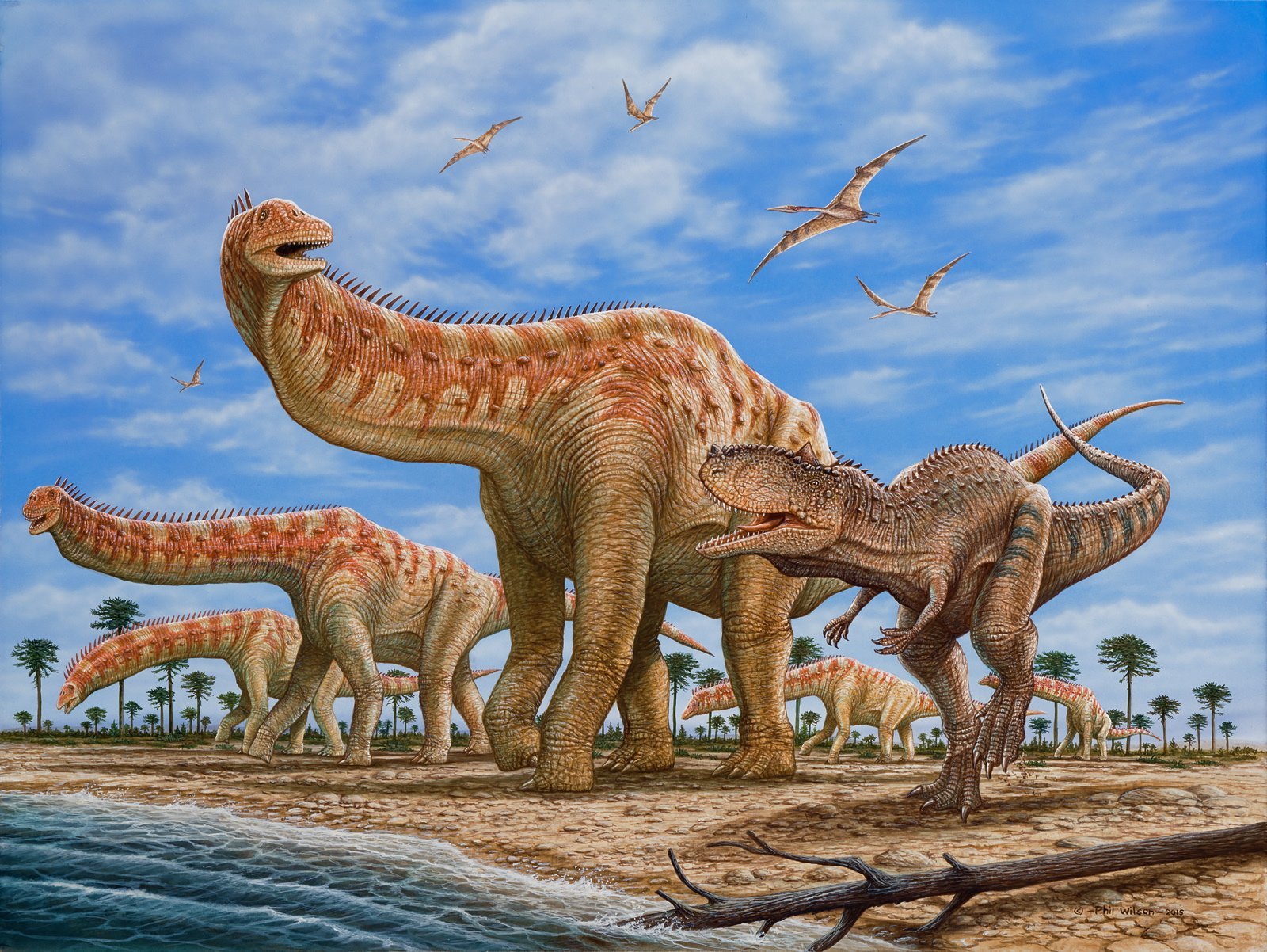 Динозавры это животные. Динозавр "Агустиния". Тираннозавр мезозой. Изизавр динозавр. Раджазавр зауропод.
