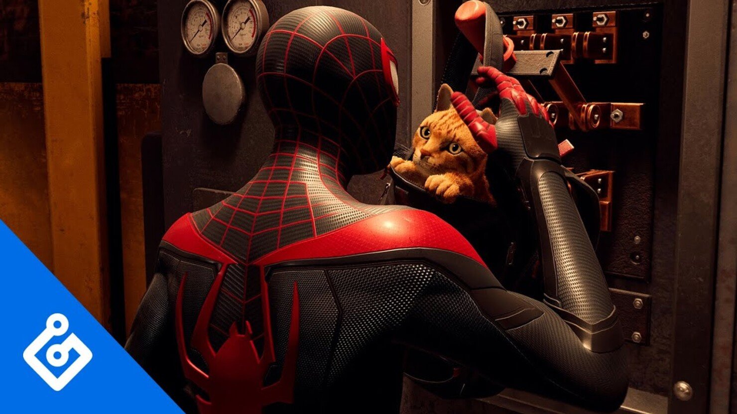 Маййл. Спайдер ман Майлз Моралес. Spider man Miles morales кот. Spider man ps5 Майлз кот. Майлз Моралес с котиком.