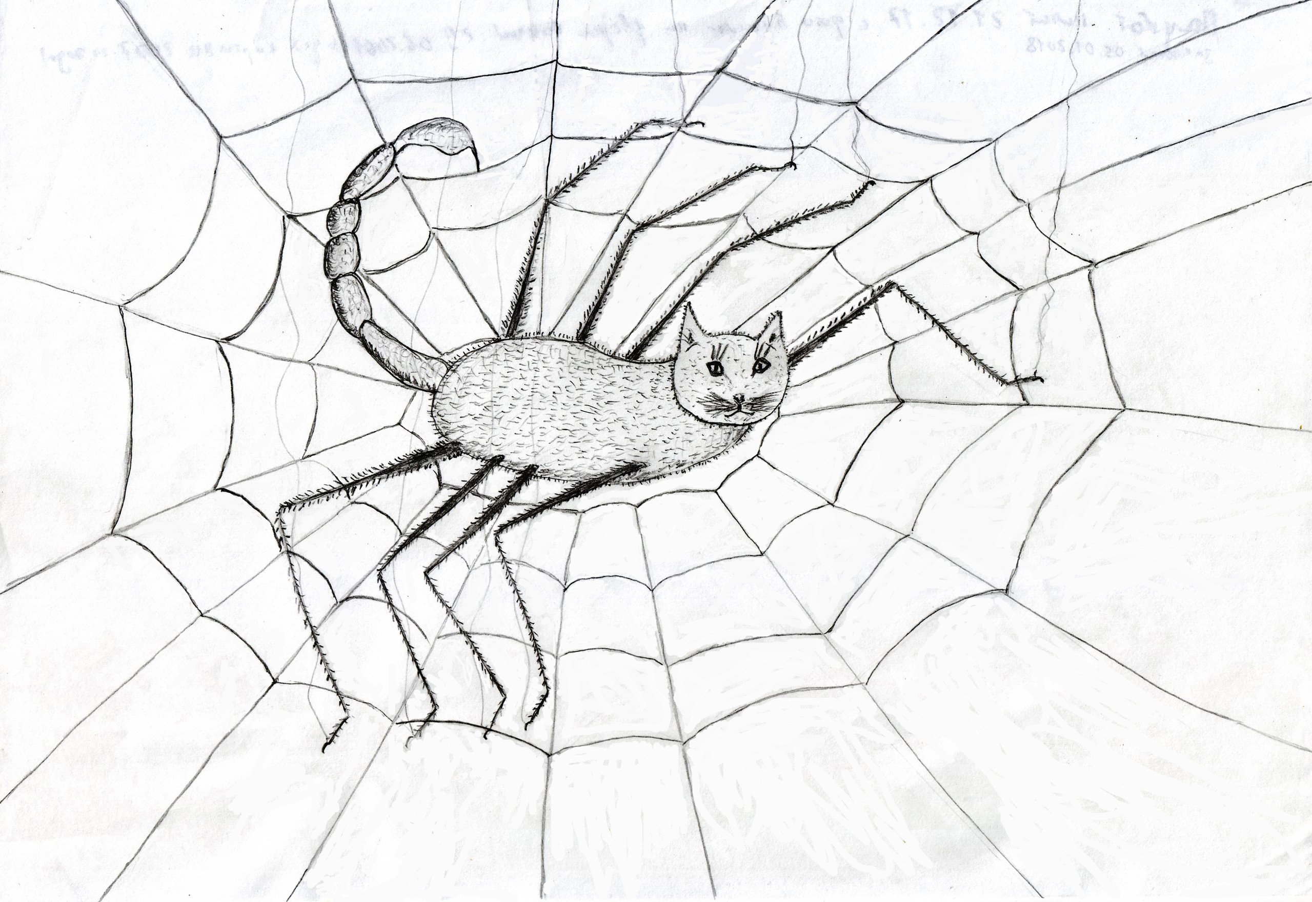 Включи кот паук. Котопаук Паукот. Кот паук. Паук художник. Кот паук раскраска.