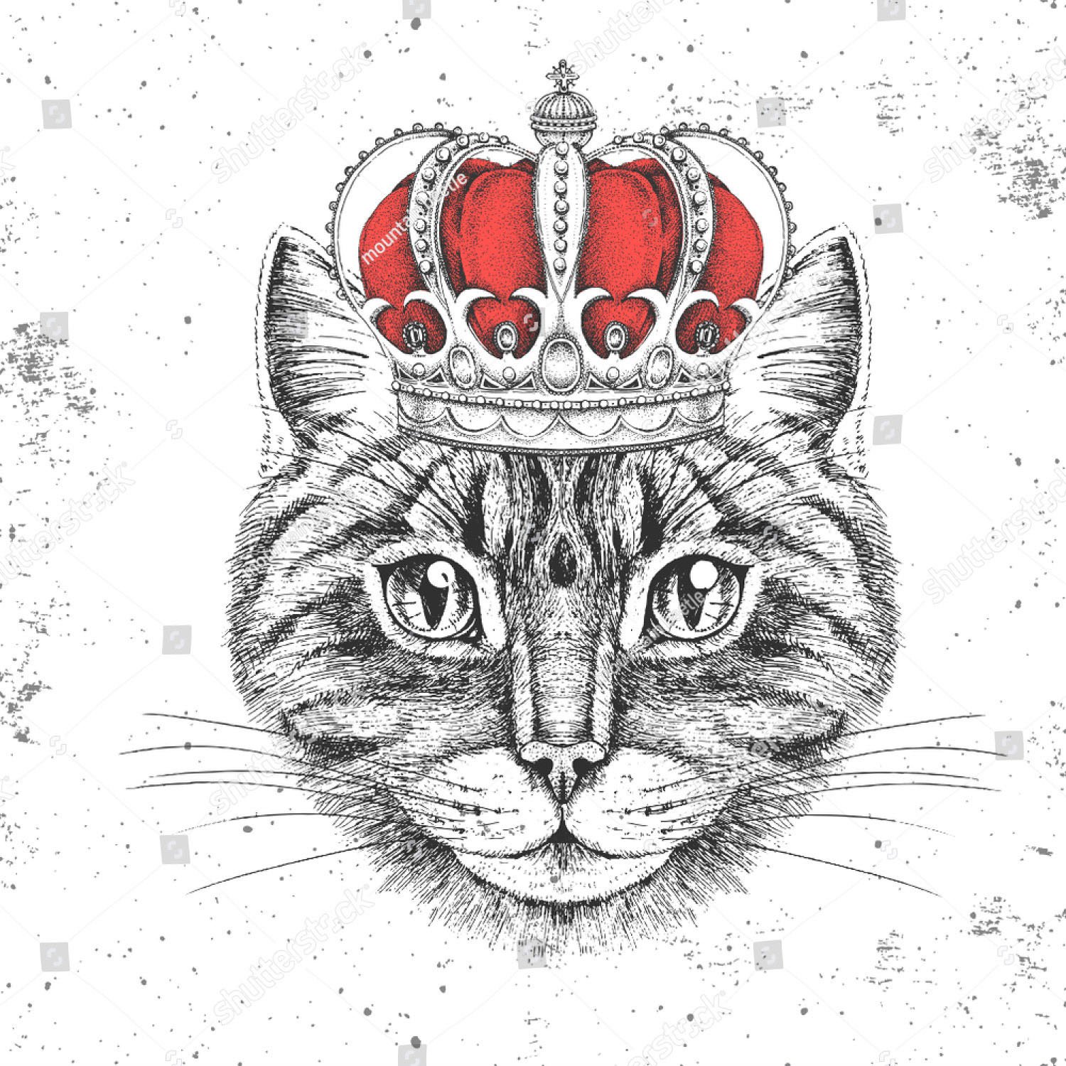 Кот в короне вектор