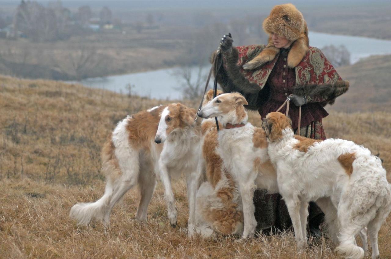 фотографии русских собак
