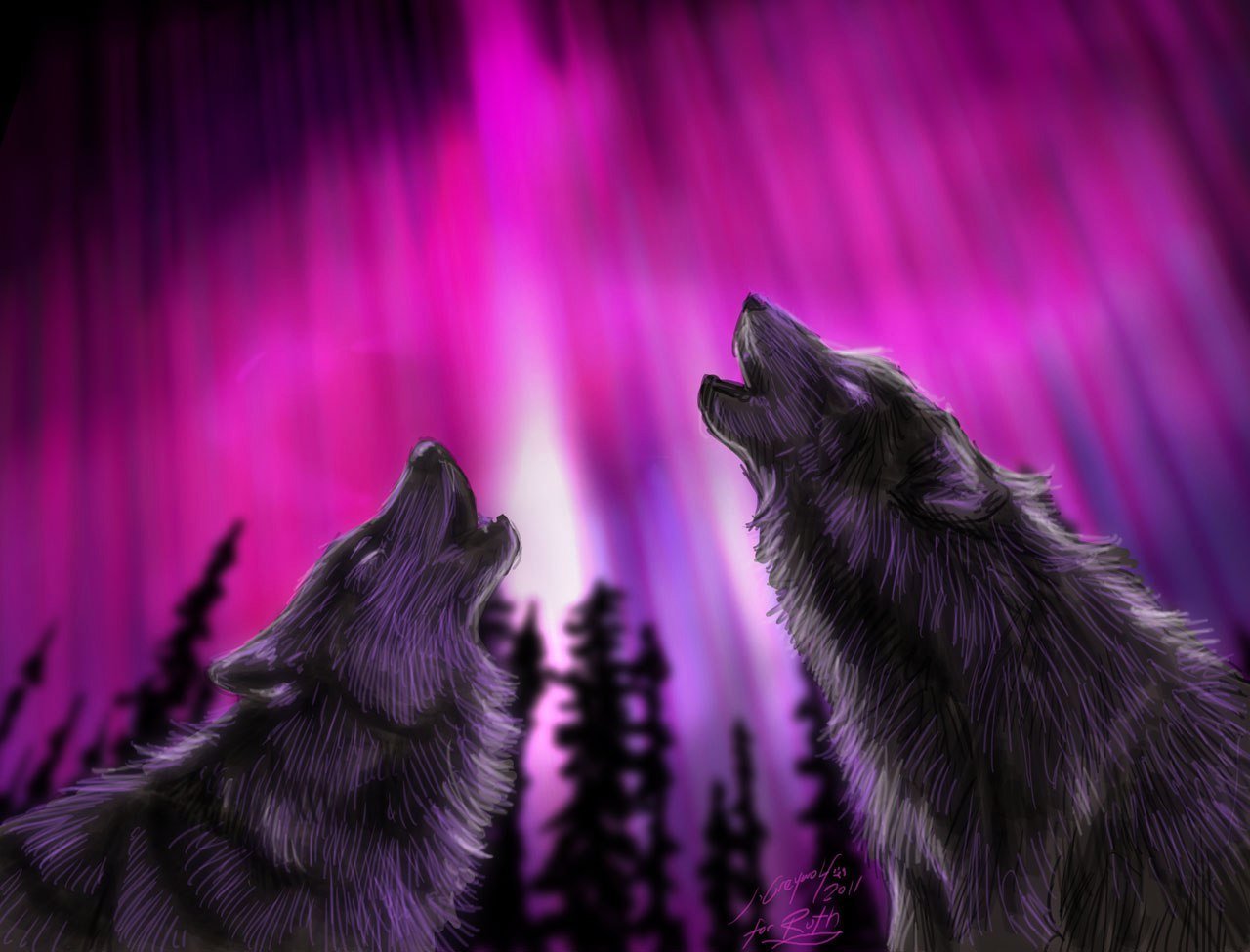 Красивые обои на телефон волка. Красивый волк. Фиолетовый волк. Волк обои. Черный волк.