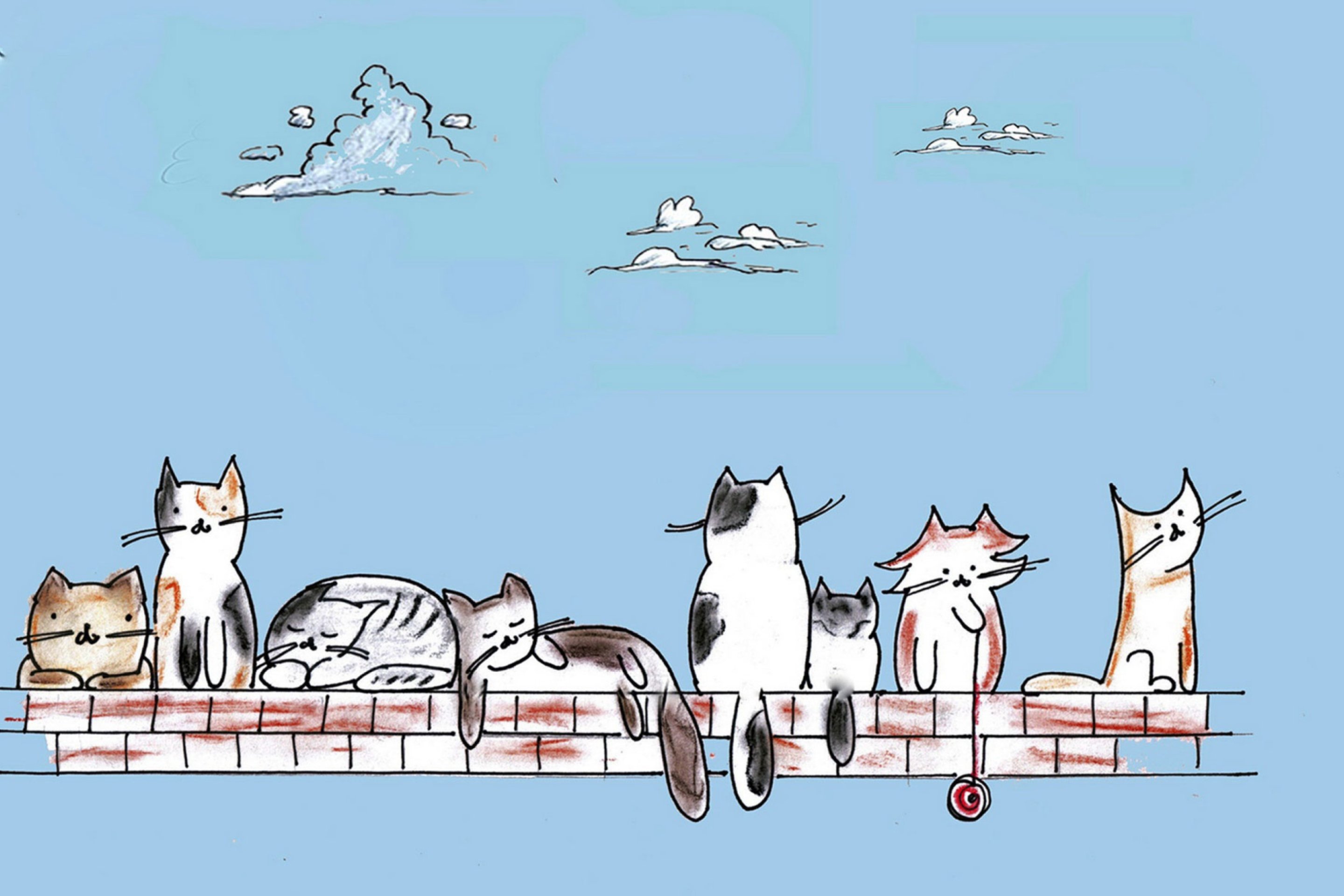 Много котов на крыше