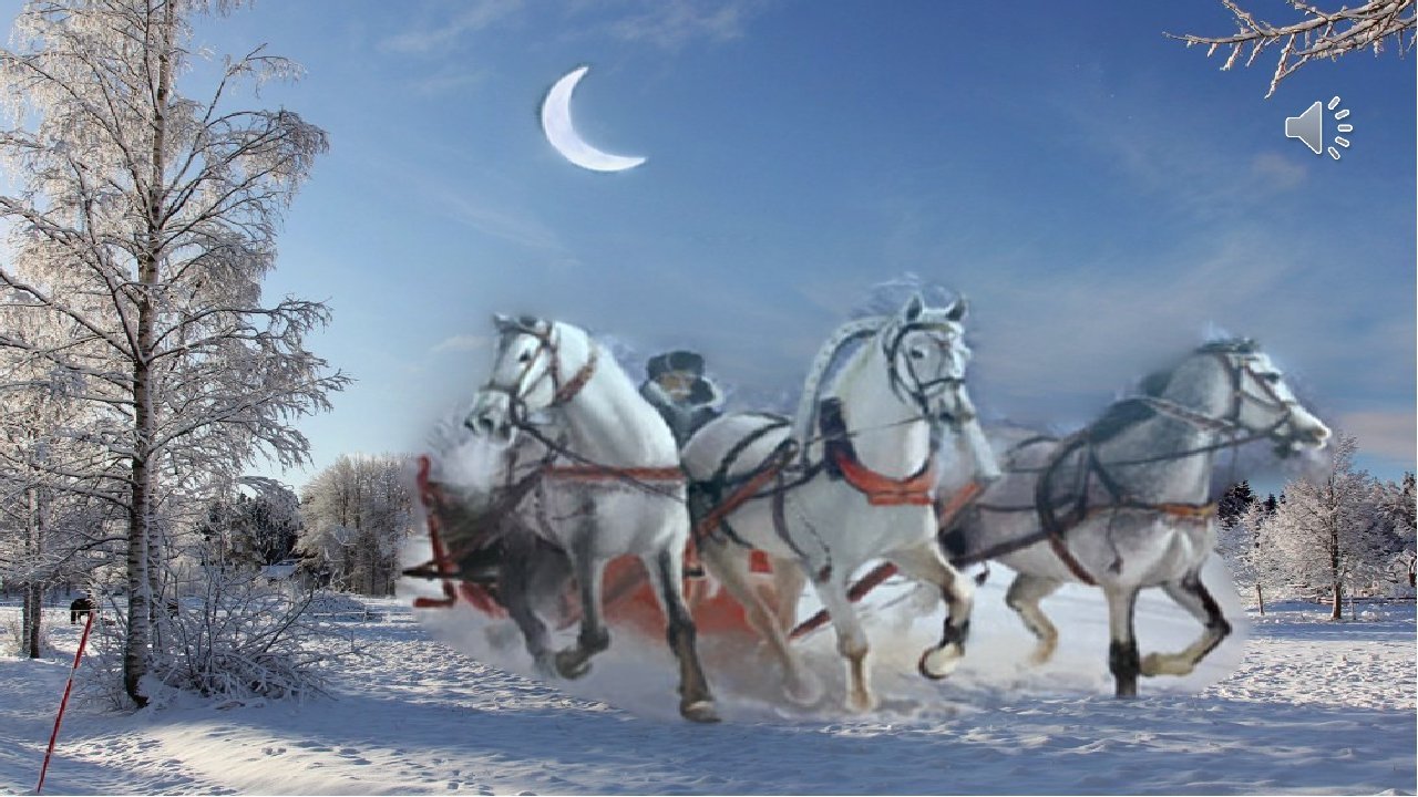 Тройка зимних лошадей. Тройка орловских рысаков в упряжи. Тройка лошадей зимой. Зимняя тройка лошадей.