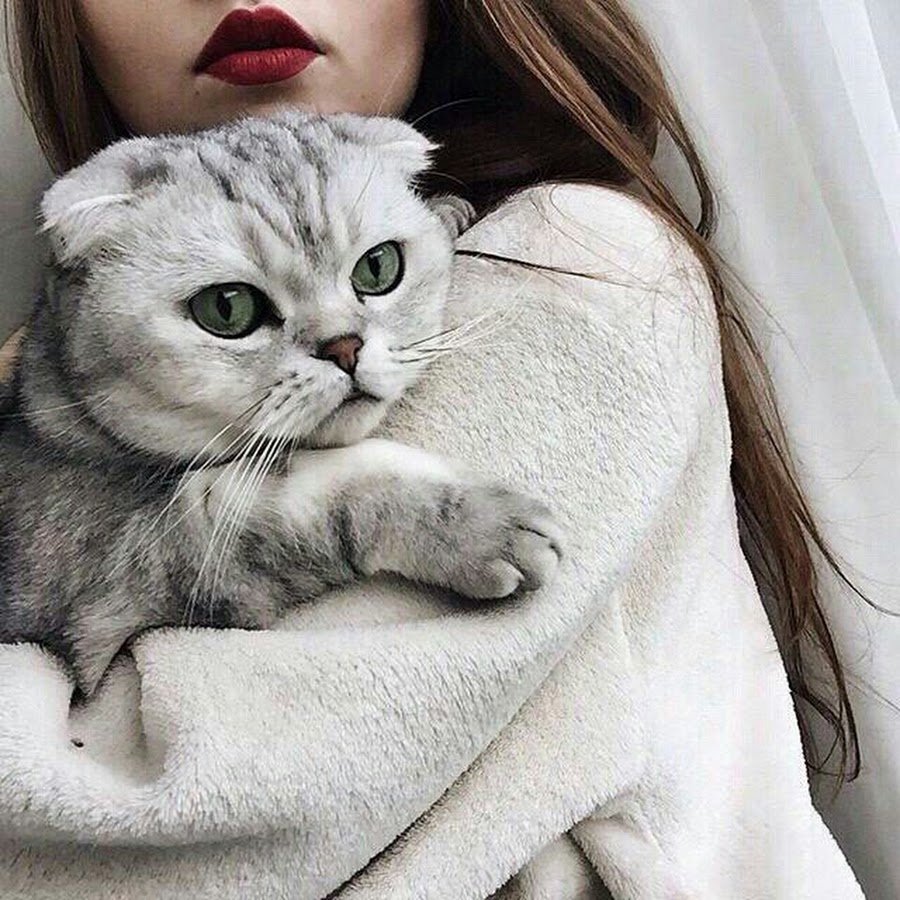красивые фото с котом дома