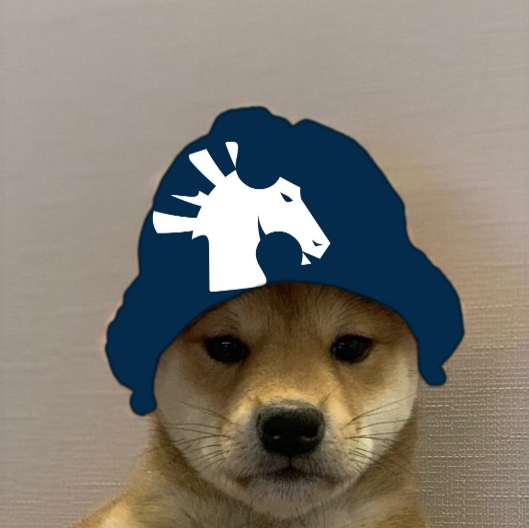 Собака в кепке