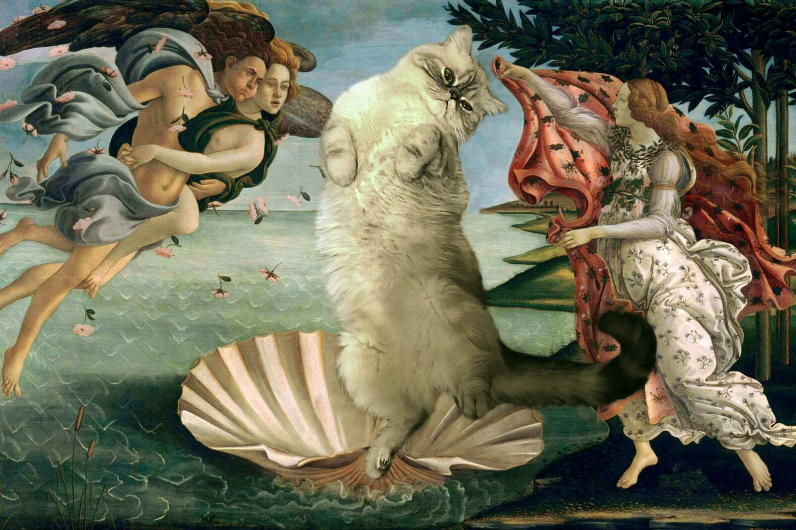 Рождение пародии. Кот в стиле Венеры Боттичелли. Кот эпохи Возрождения. Кот в искусстве. Коты на картинах известных художников.