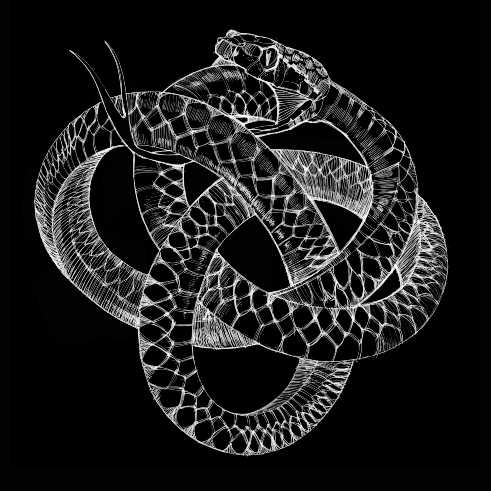 Знак змейки. Уроборос мифология. Уроборос 2 змеи. Уроборос змея бесконечность. Змей бесконечности Уроборос.