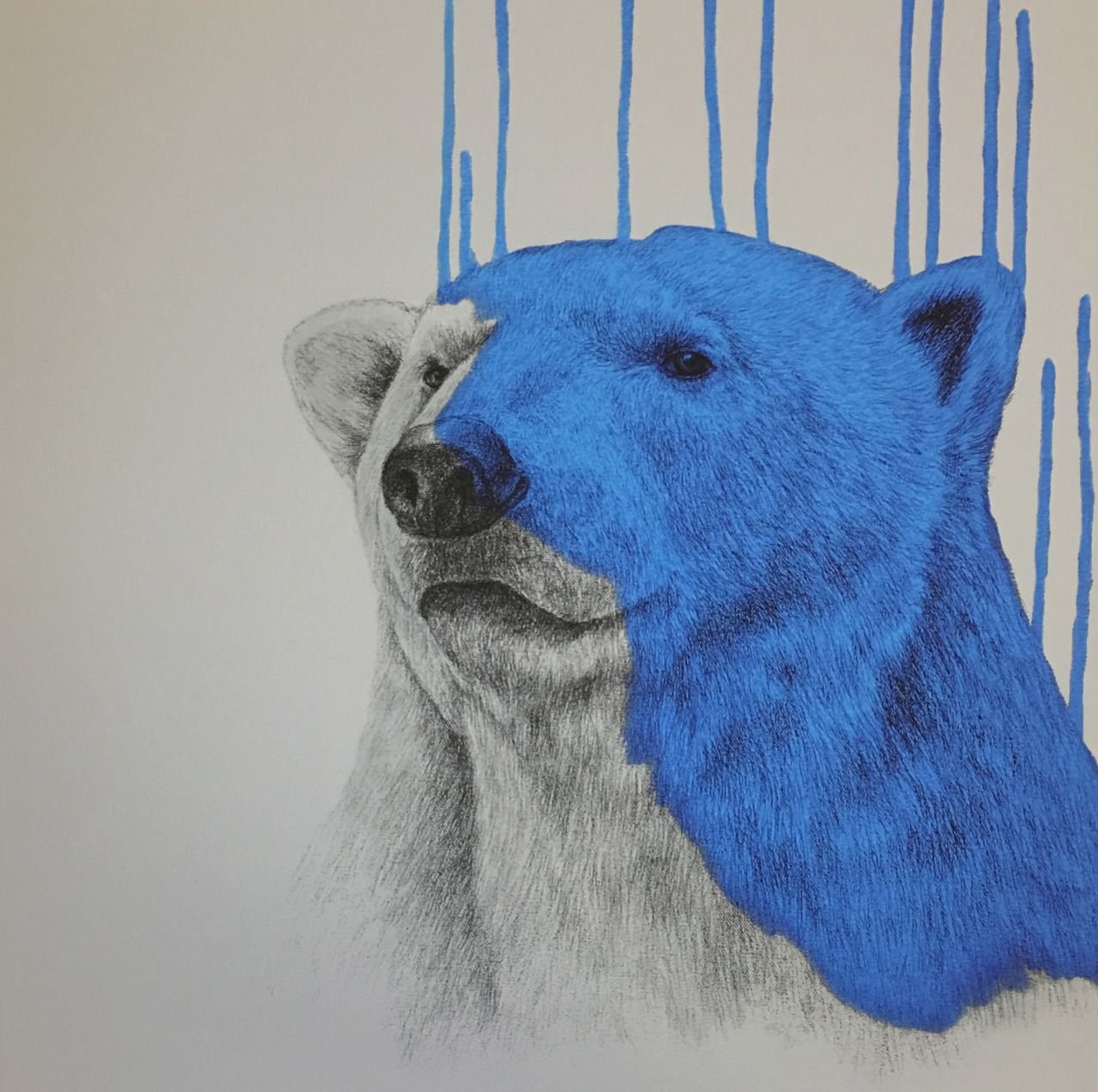 Голубой медведь арт