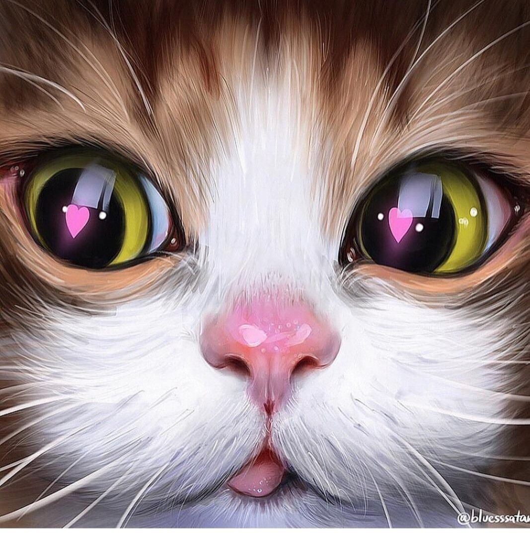 Аватарка кошечка. Красивая морда кошки. Милые кошачьи мордочки. Милая мордочка кота. Милые кошачьи глаза.