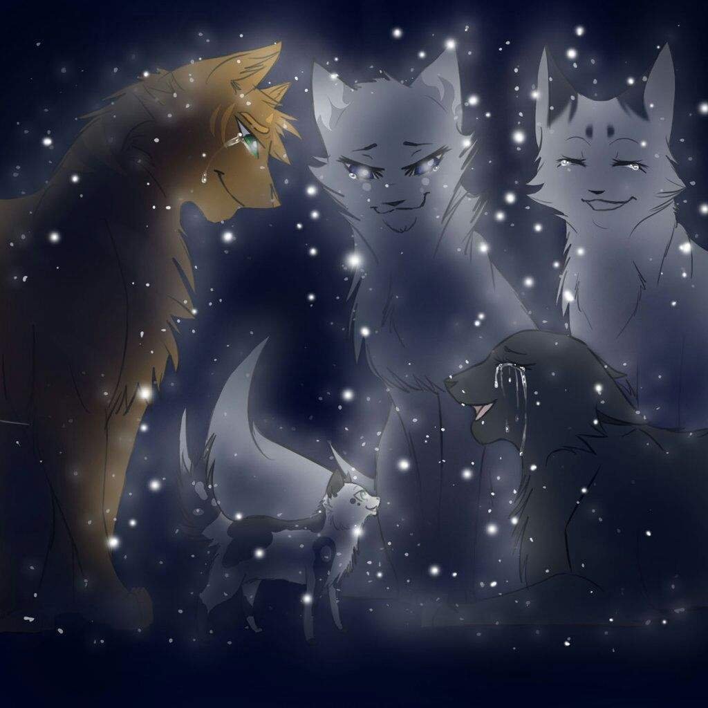 Фото звездный котов из котов воителей
