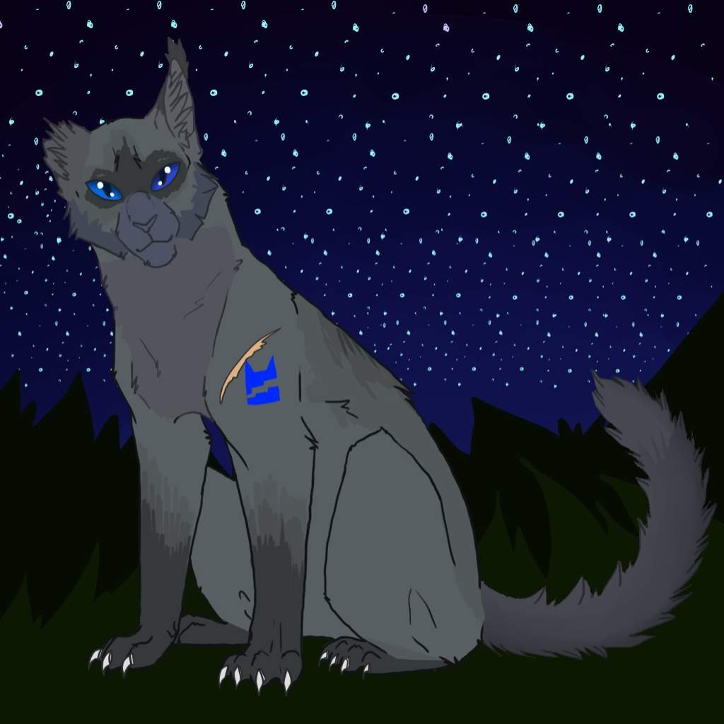 Синяя звезда из котов воителей