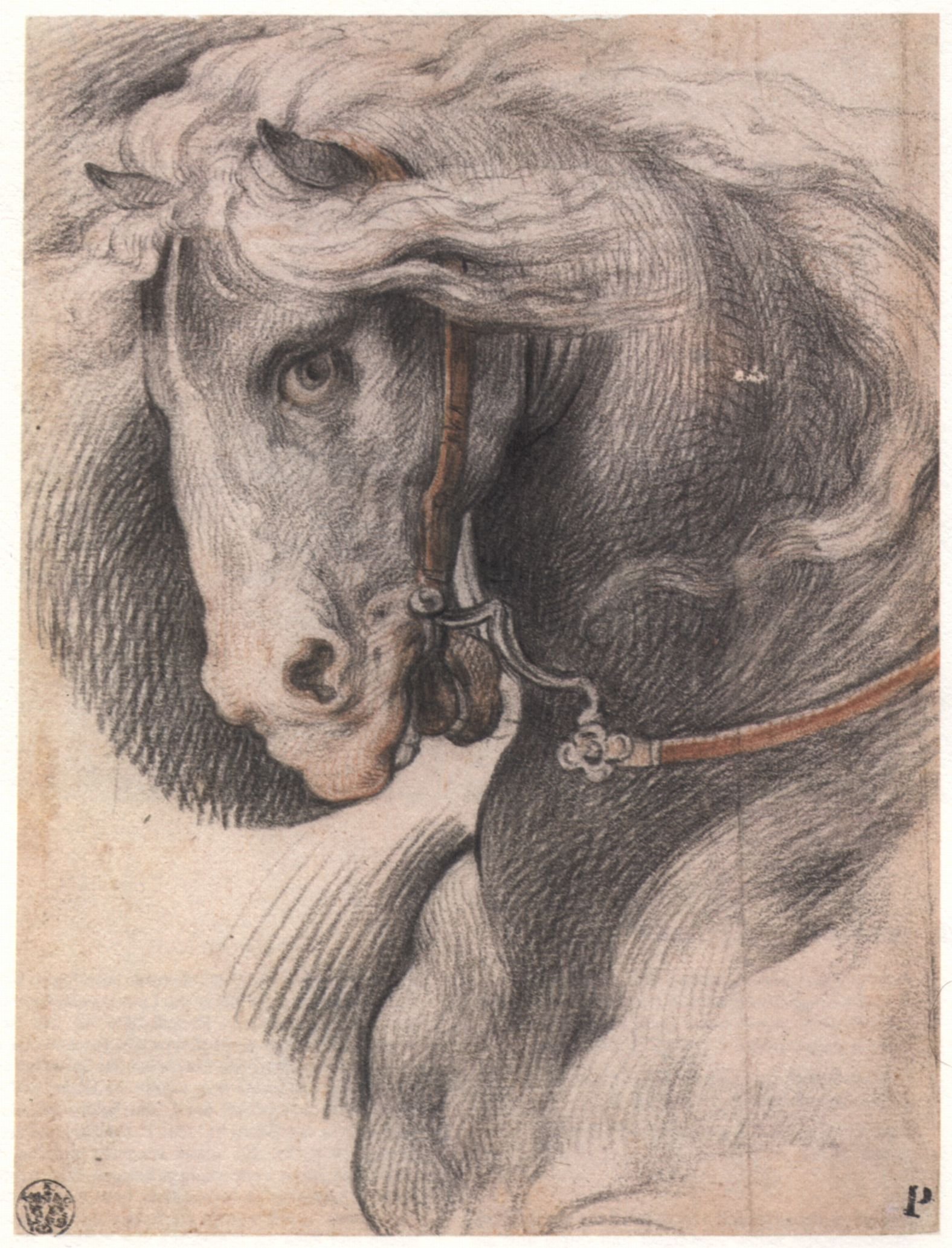Лошадь сангиной