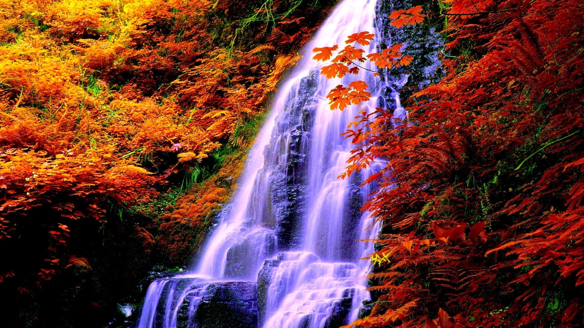 Обои на телефон живой водопад. Красивые водопады. Осенний водопад. Живая природа водопады. Красивые пейзажи с водопадами.