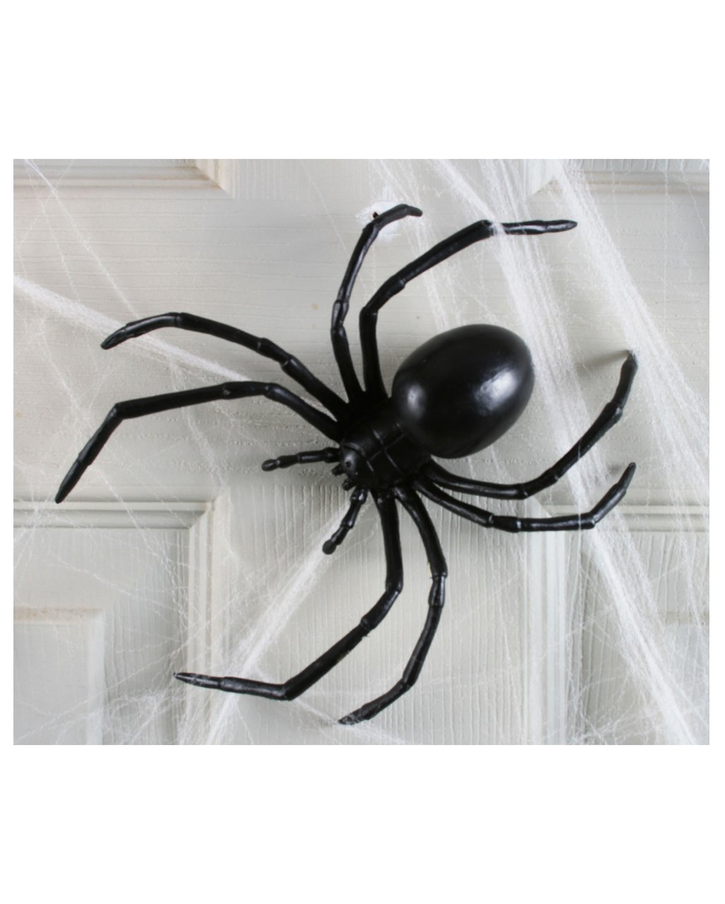 Большой черный паук в квартире