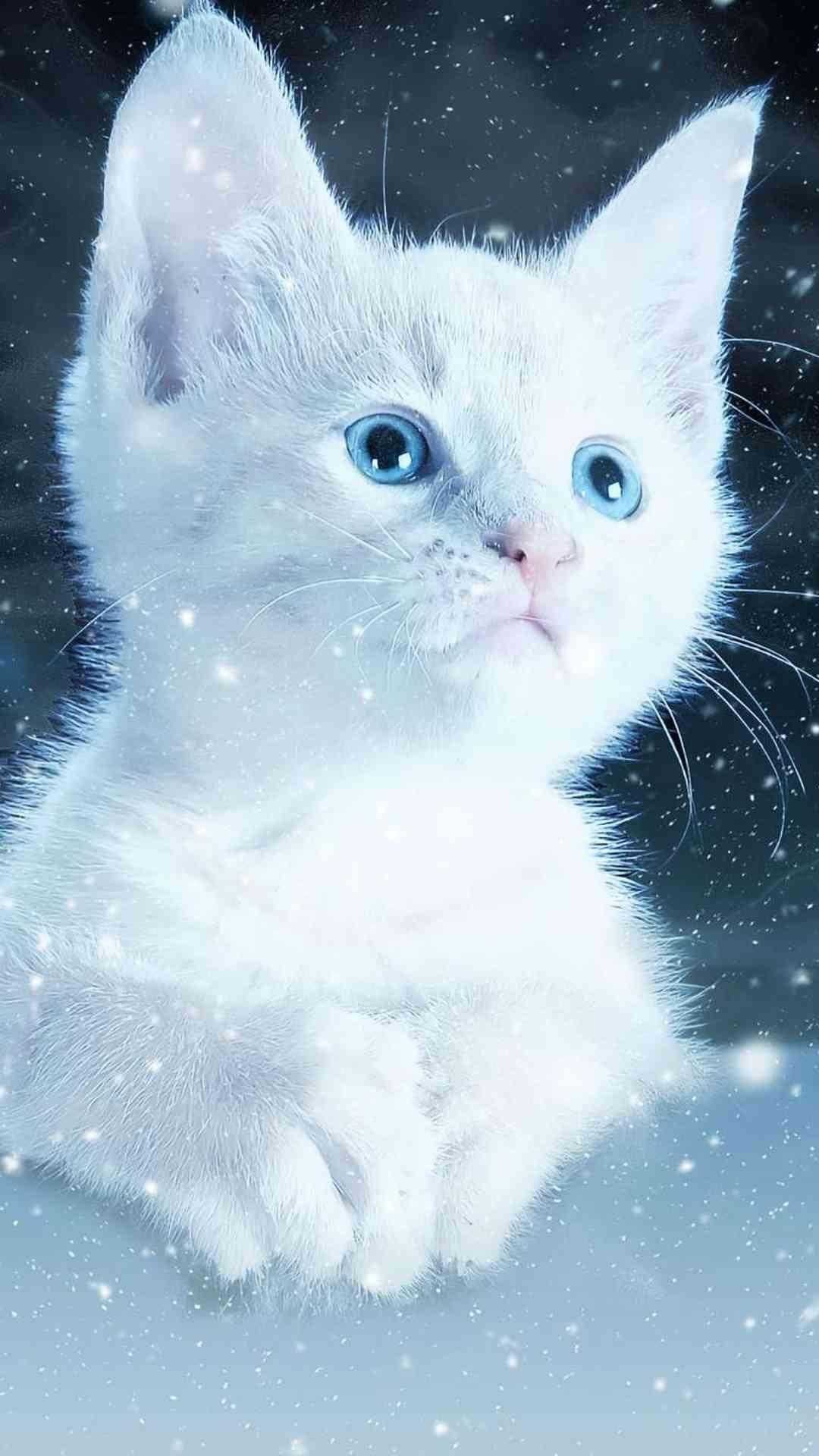 Кот снежок