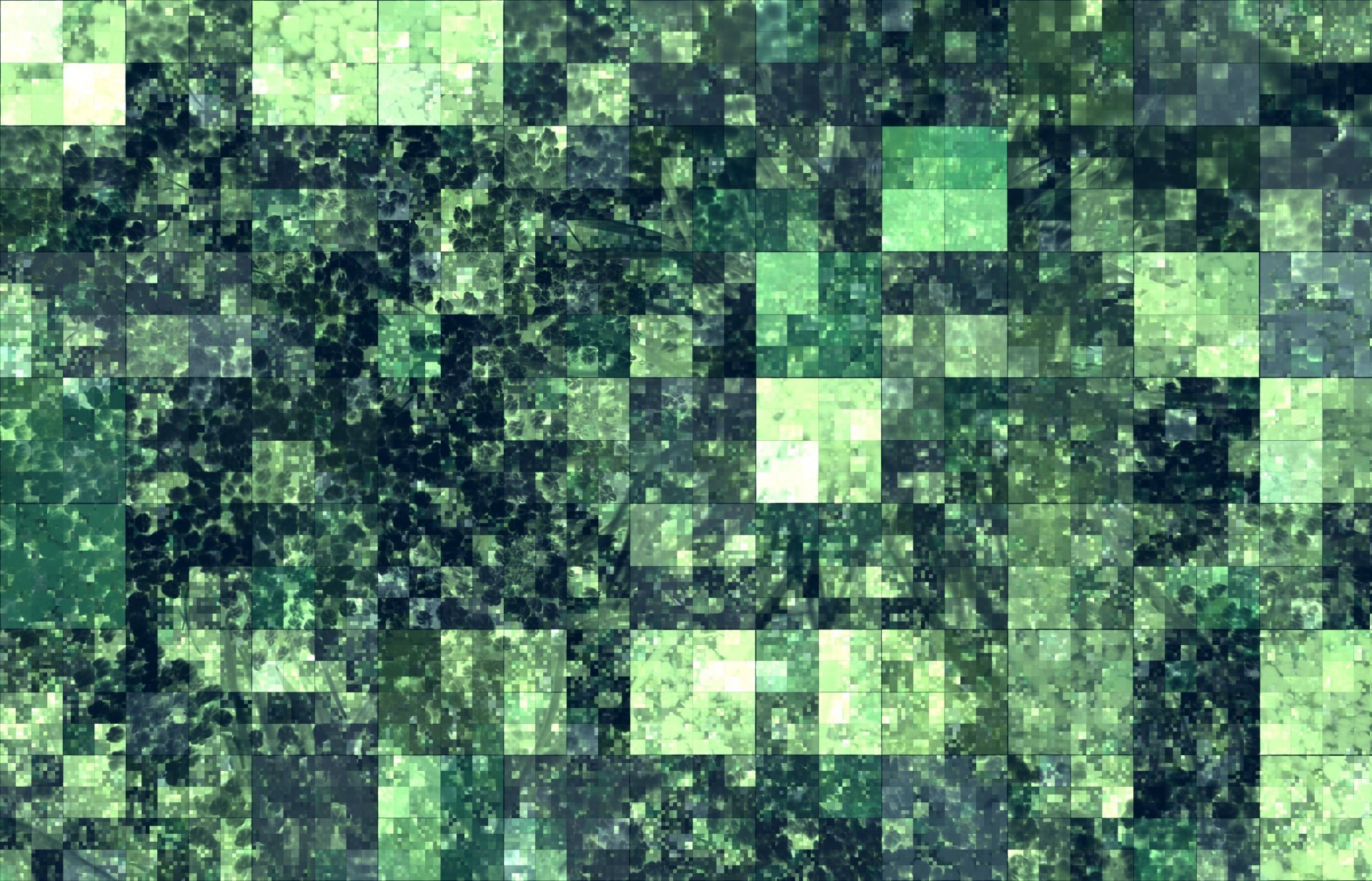 Майнкрафт квадратик. Зеленый квадрат. Зеленый пиксель. Зеленый квадратик. Текстура КРИПЕРА.
