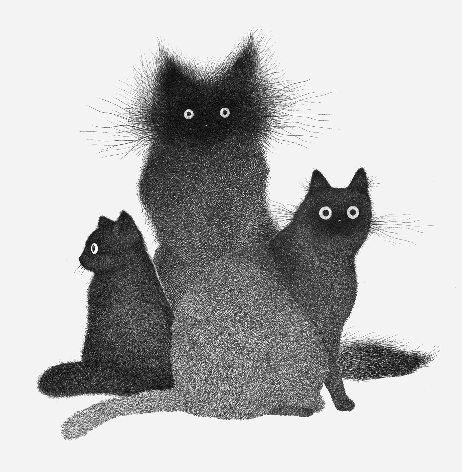 Черный котенок рисунок
