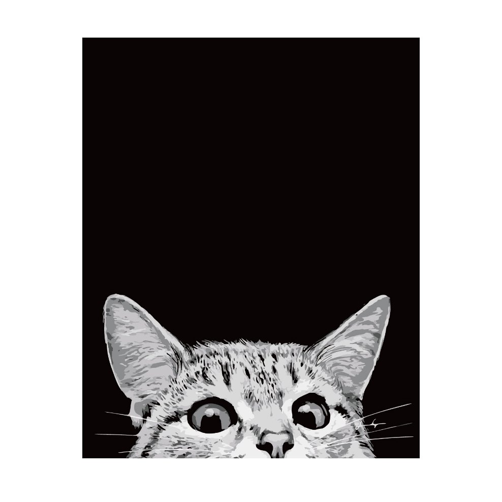 Постер с котом черно белый