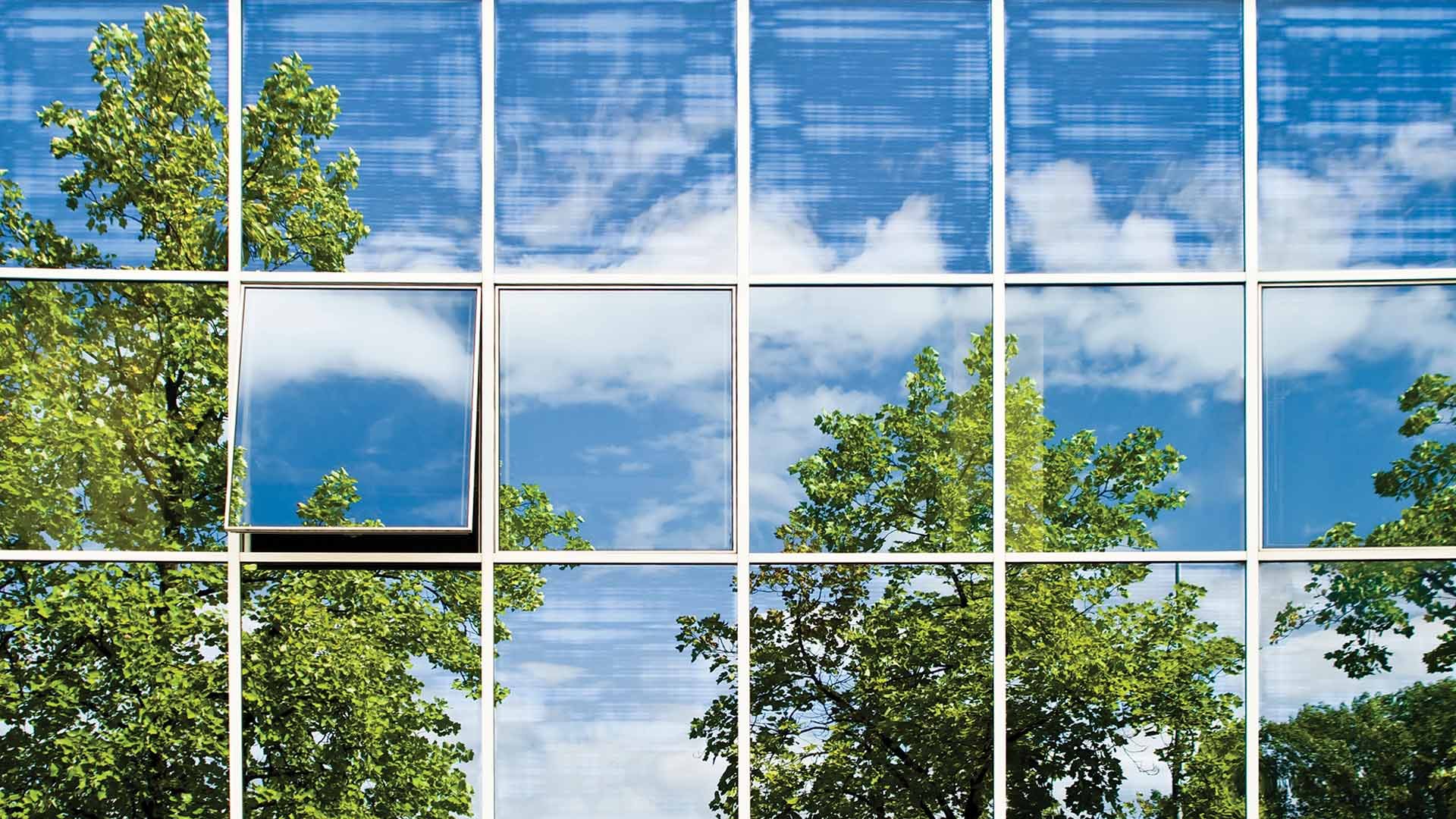 Отражение деревьев в стекле