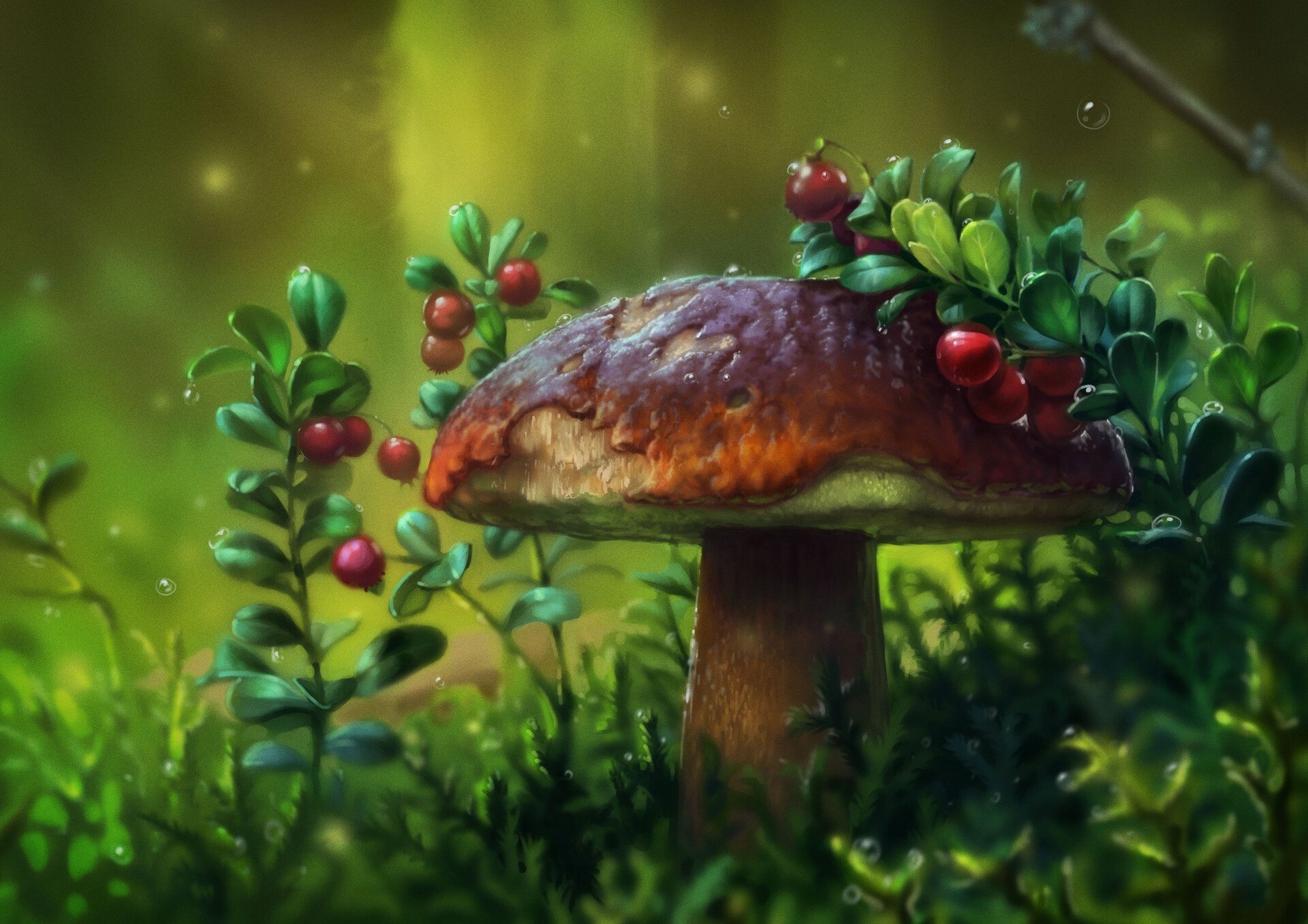 Рена грибов. Грибы в лесу. Сказочный лес с грибами. Волшебный лес с грибами. Грибы арт.