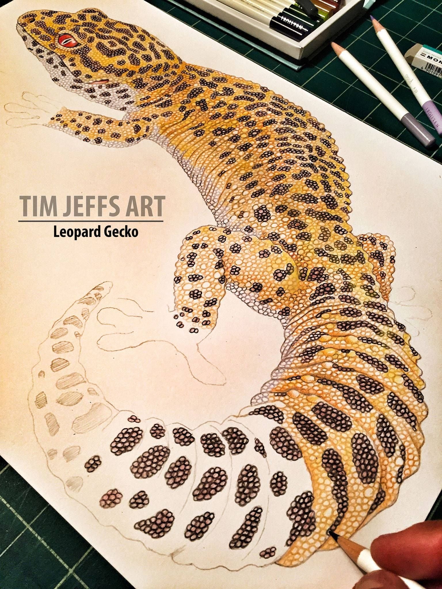 Леопардовый геккон арт