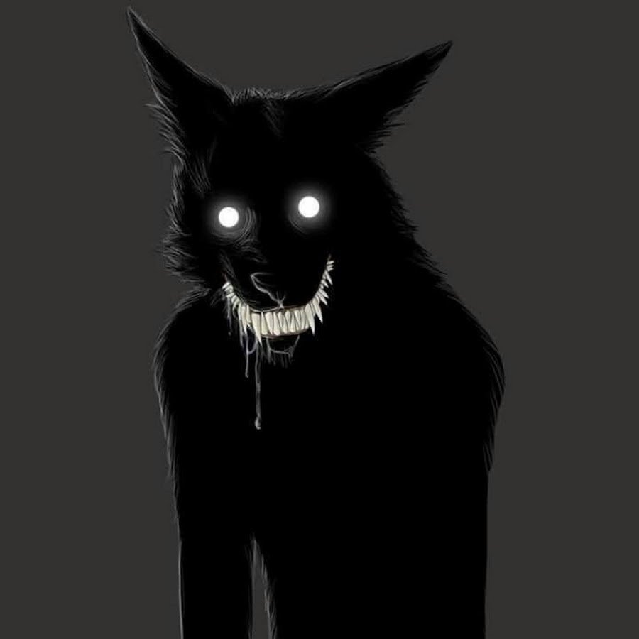 Чёрные призраки котов