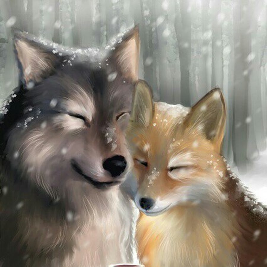 Рисунки лисов и волков. Волк и лиса. Лиса. Любовь волка и лисы. Лисенок и Волчонок.