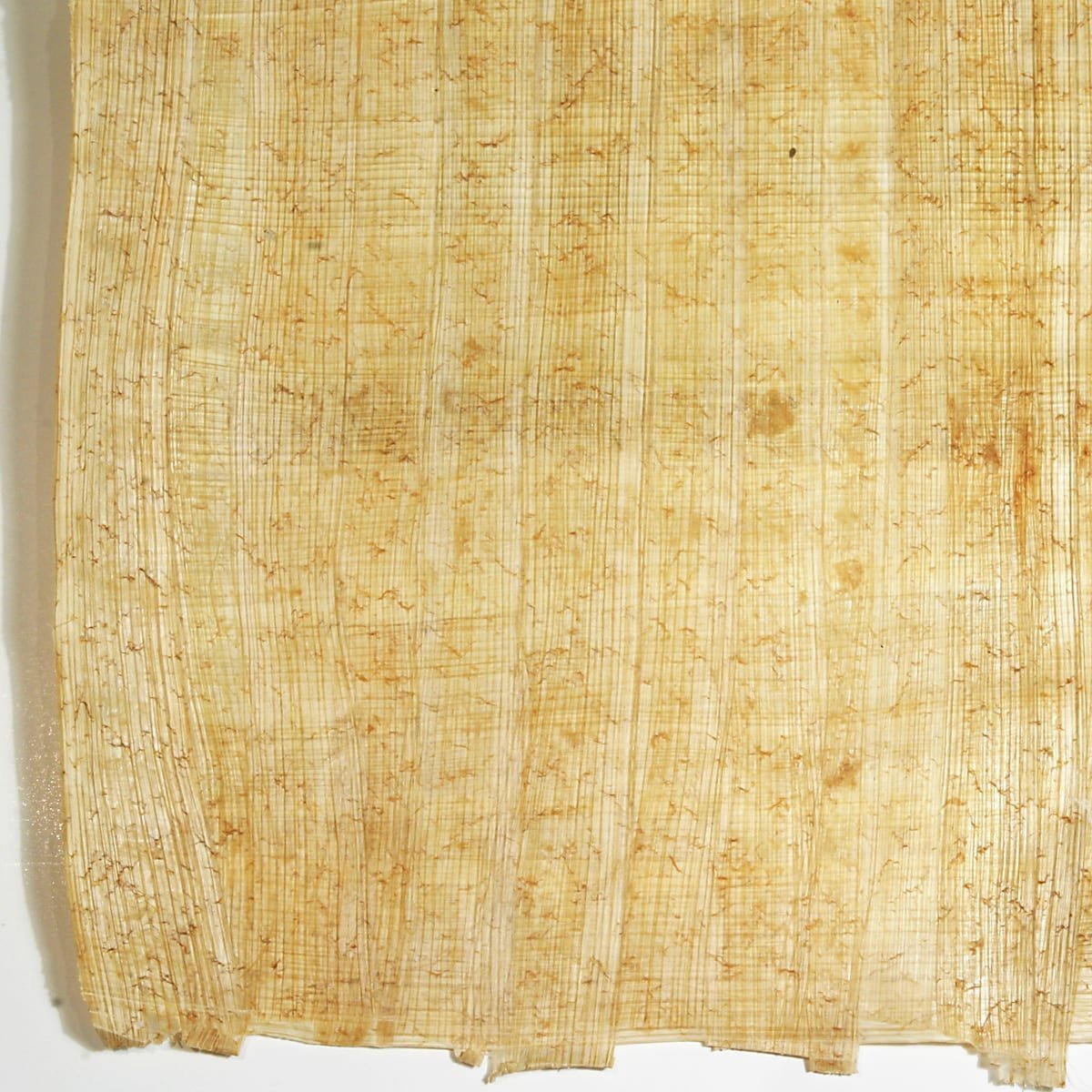 Фон папирус