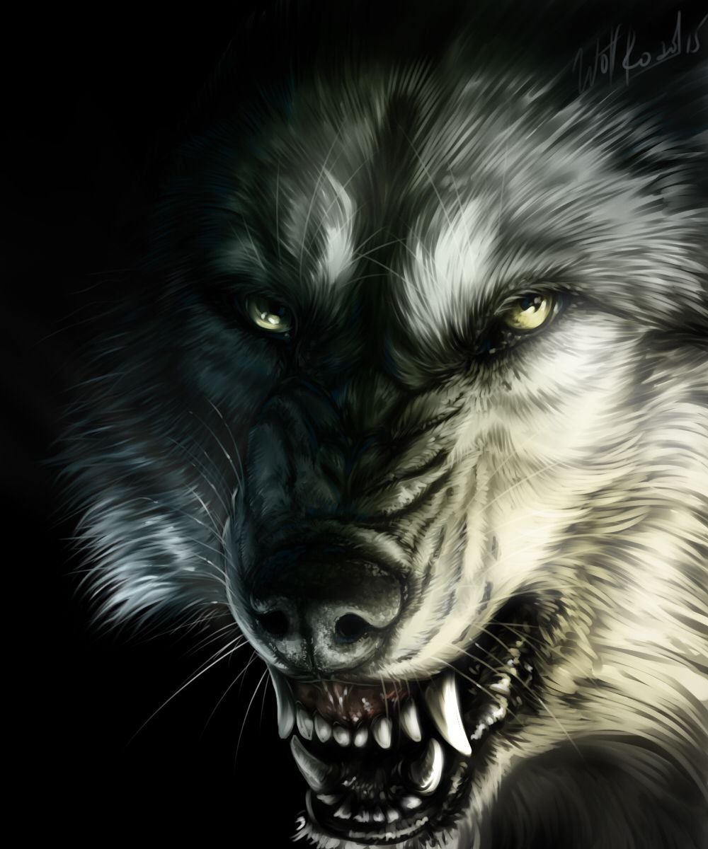 Волк на телефон оскал. Вервольф волк оборотень злой. Оскал волка. Красивый оскал волка. Волки крутые.