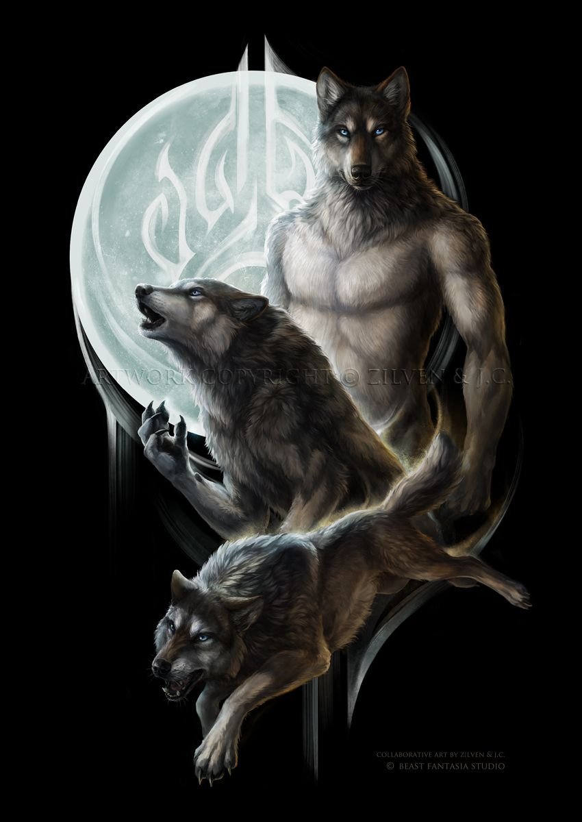 Волки оборотни фэнтези