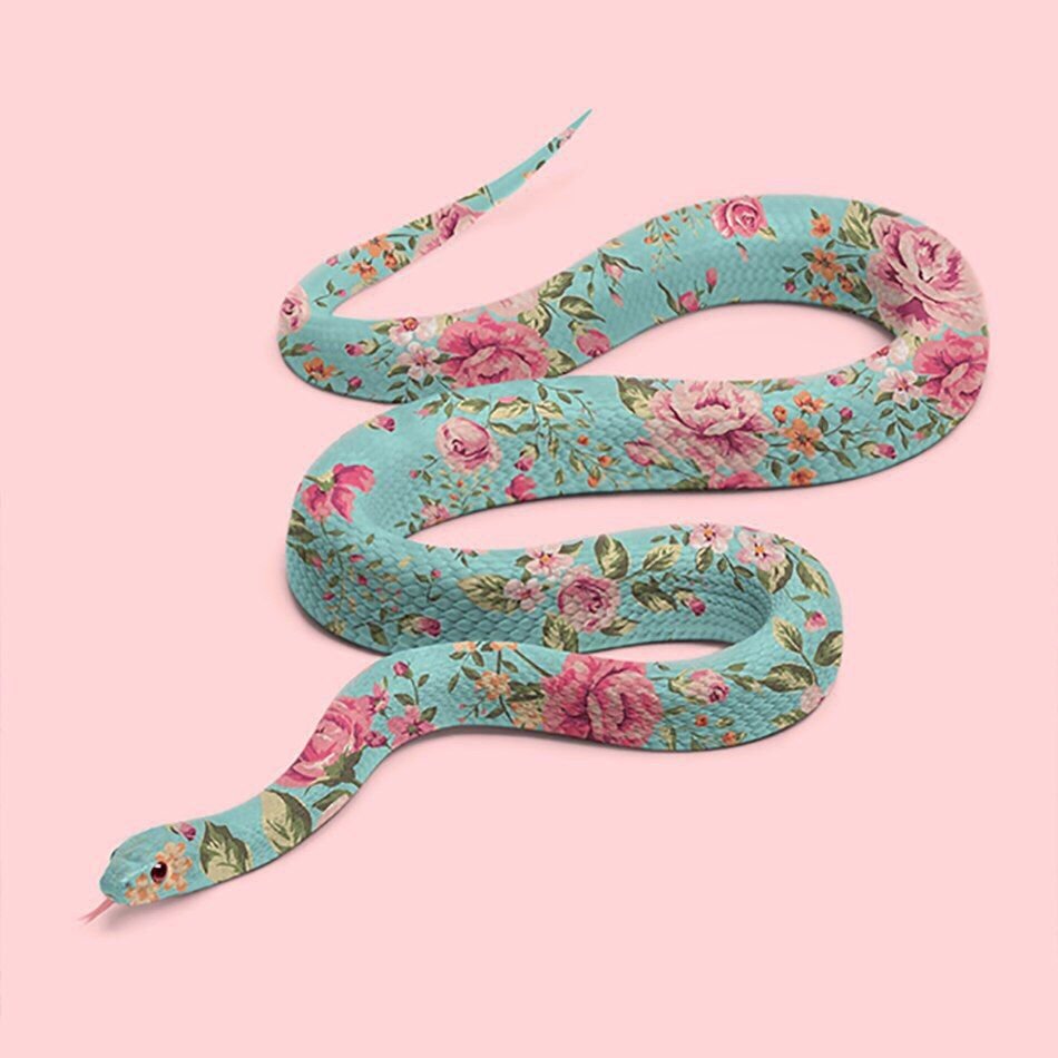 Змеиные Цветы