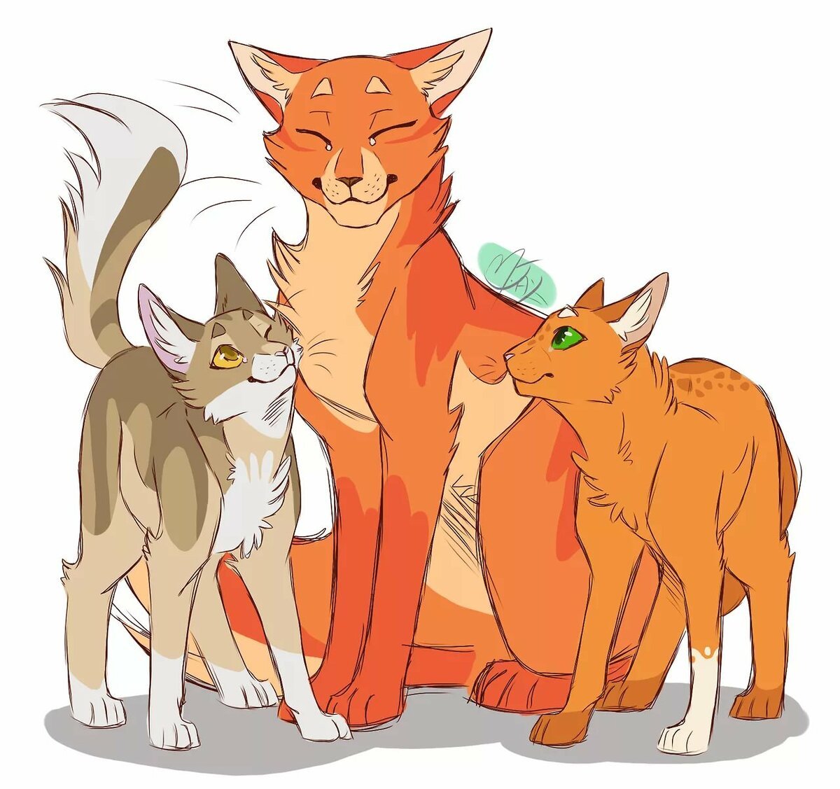 Коты Воители белка и Огнезвезд