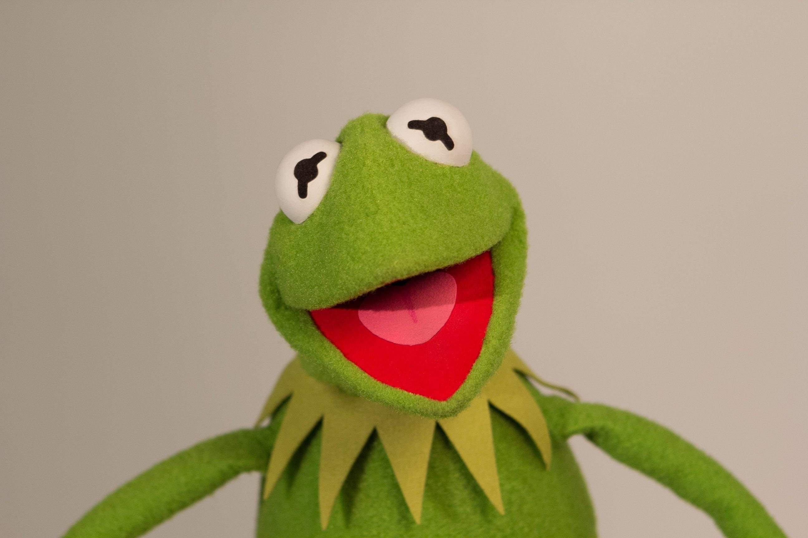 Маппеты: 10 самых смешных мемов с лягушкой Кермитом