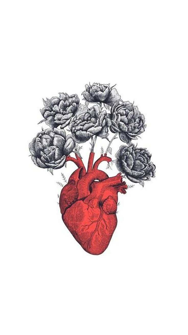 Анатомическое сердце арт
