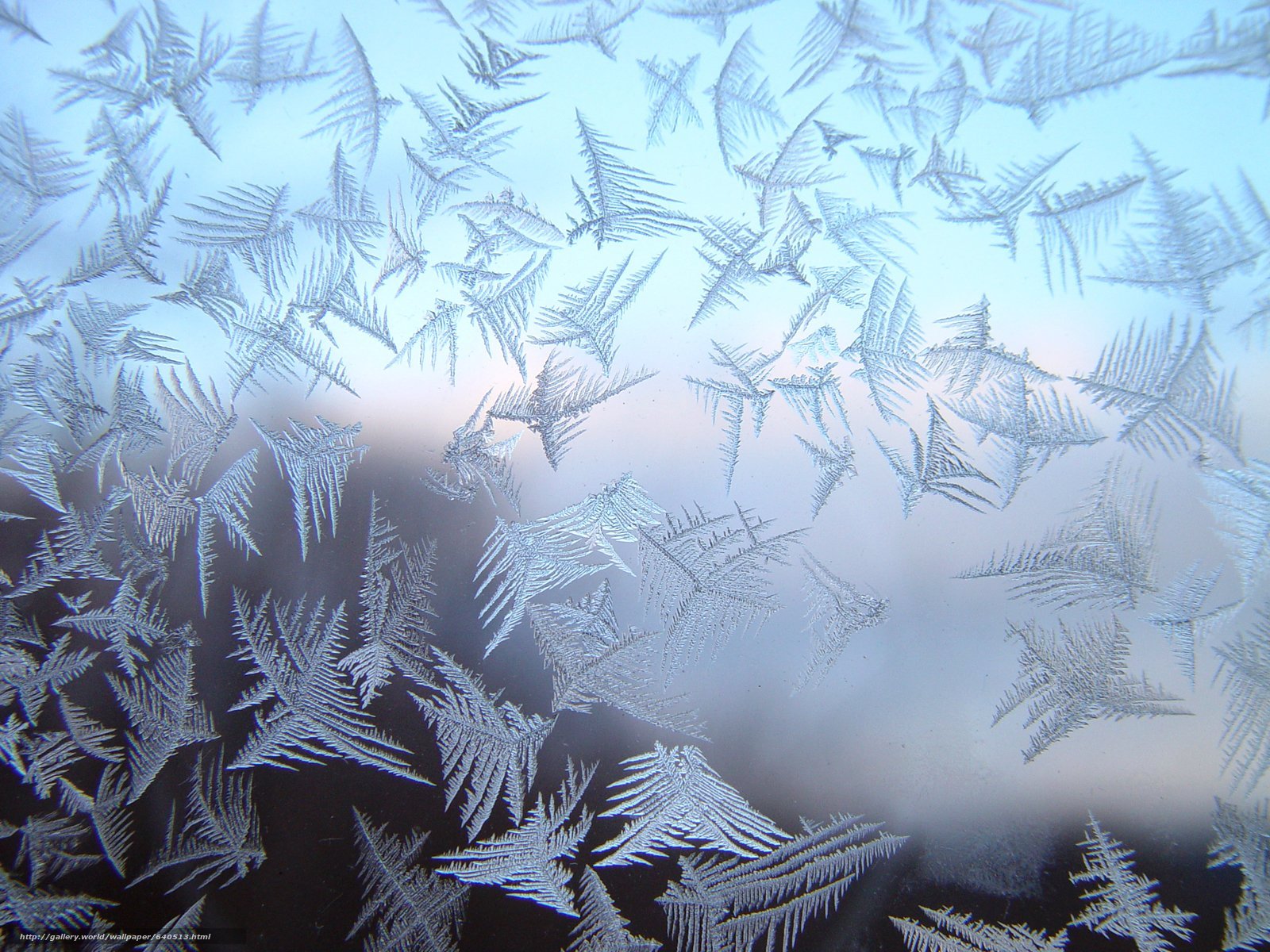 Эффект заморозки. Морозные узоры. Зимние узоры на стекле. Узоры Мороза на стекле. Ледяные узоры на стекле.