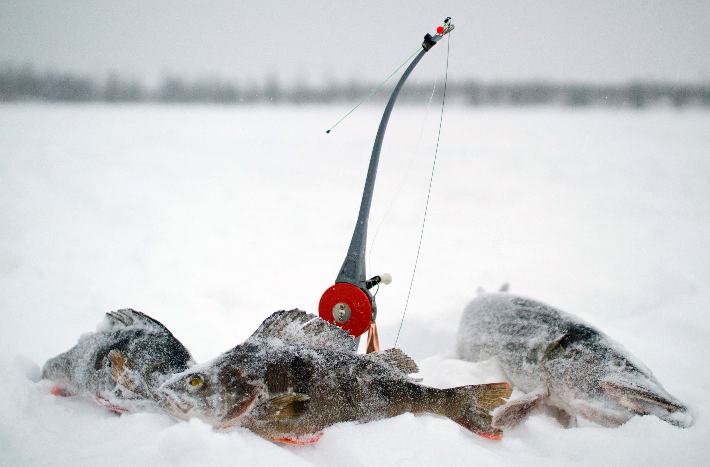 Хорошей зимней рыбалки. Зимняя рыбалка. Зимние снасти. Подледная рыбалка. Зимняя ловля рыбы.