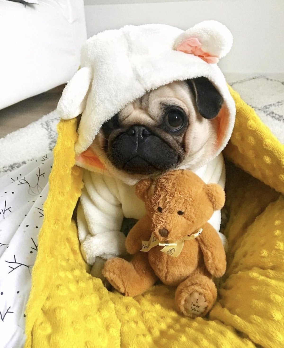 Милые мопсики